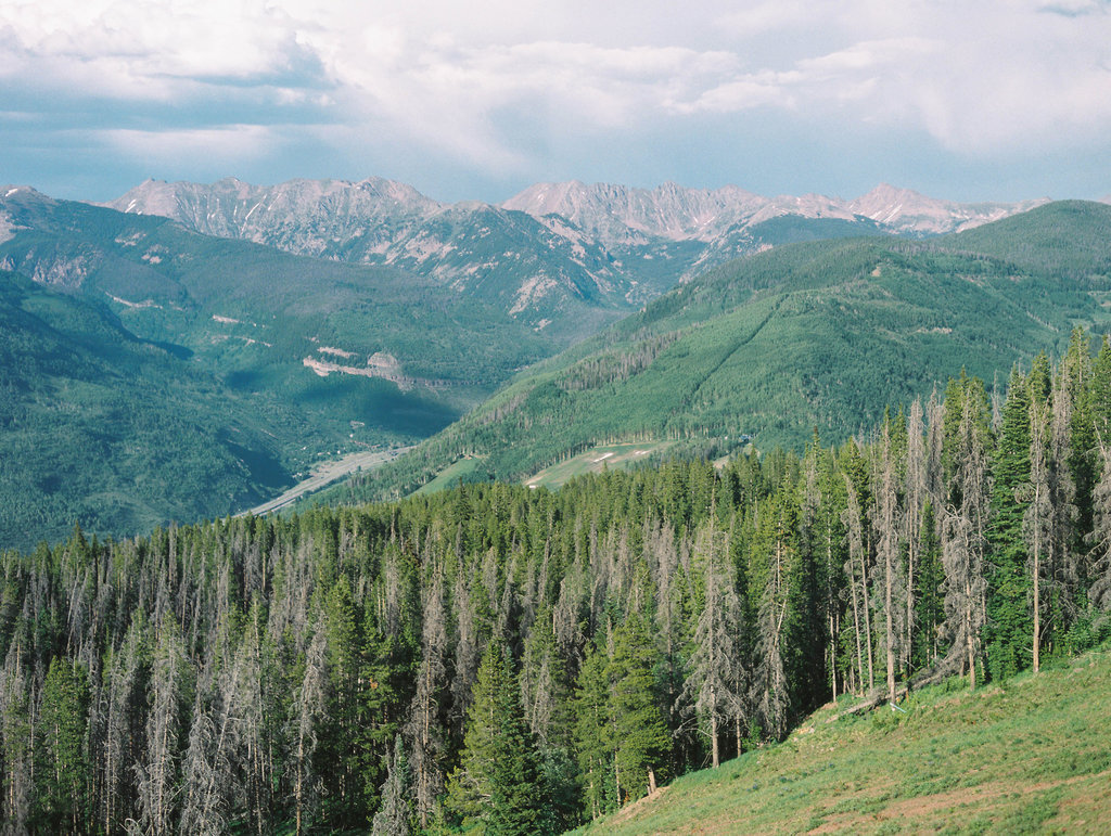 Mackenzie_Mike_Vail_Wedding_0001