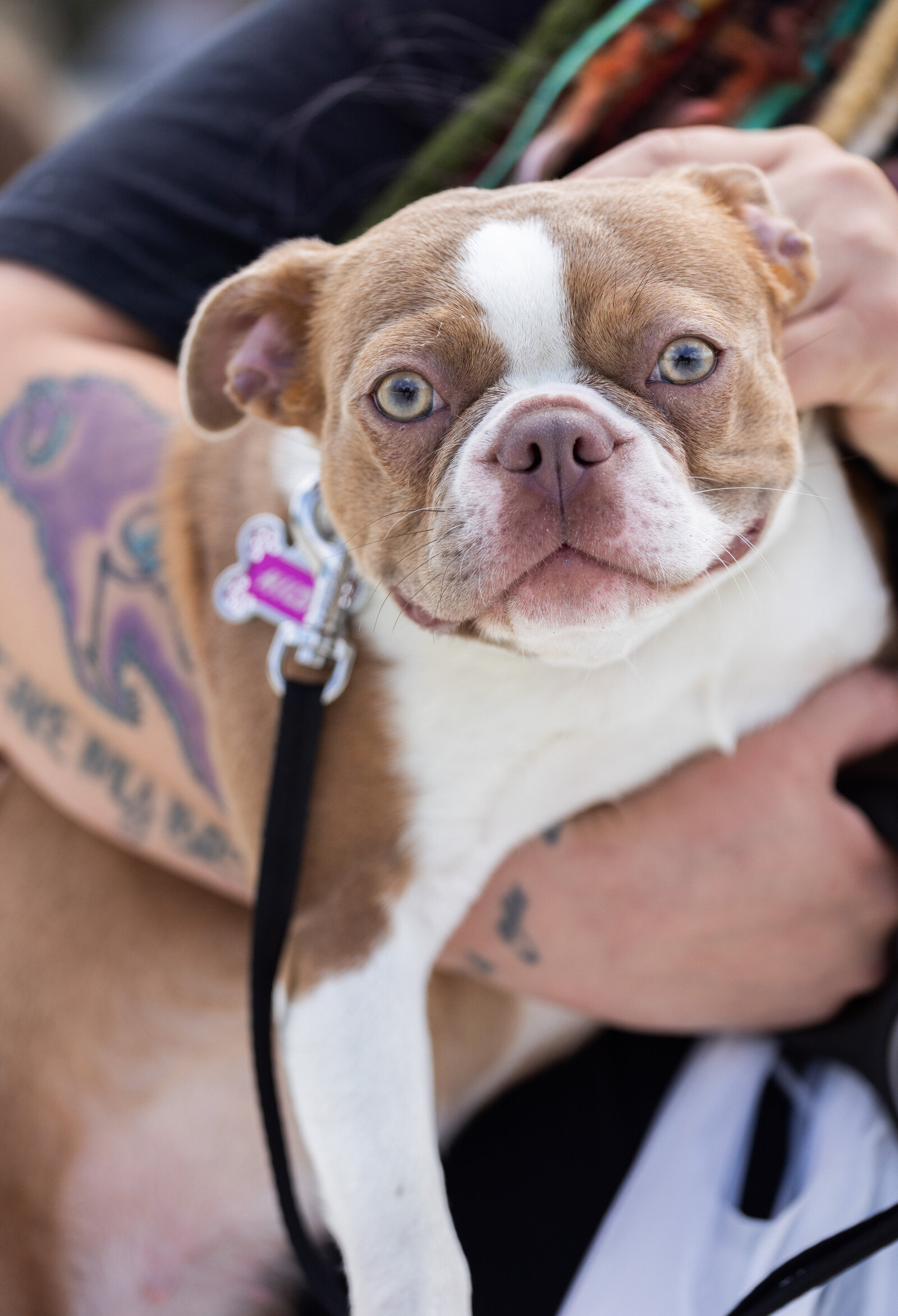 DAWNcil_051825_83A4455