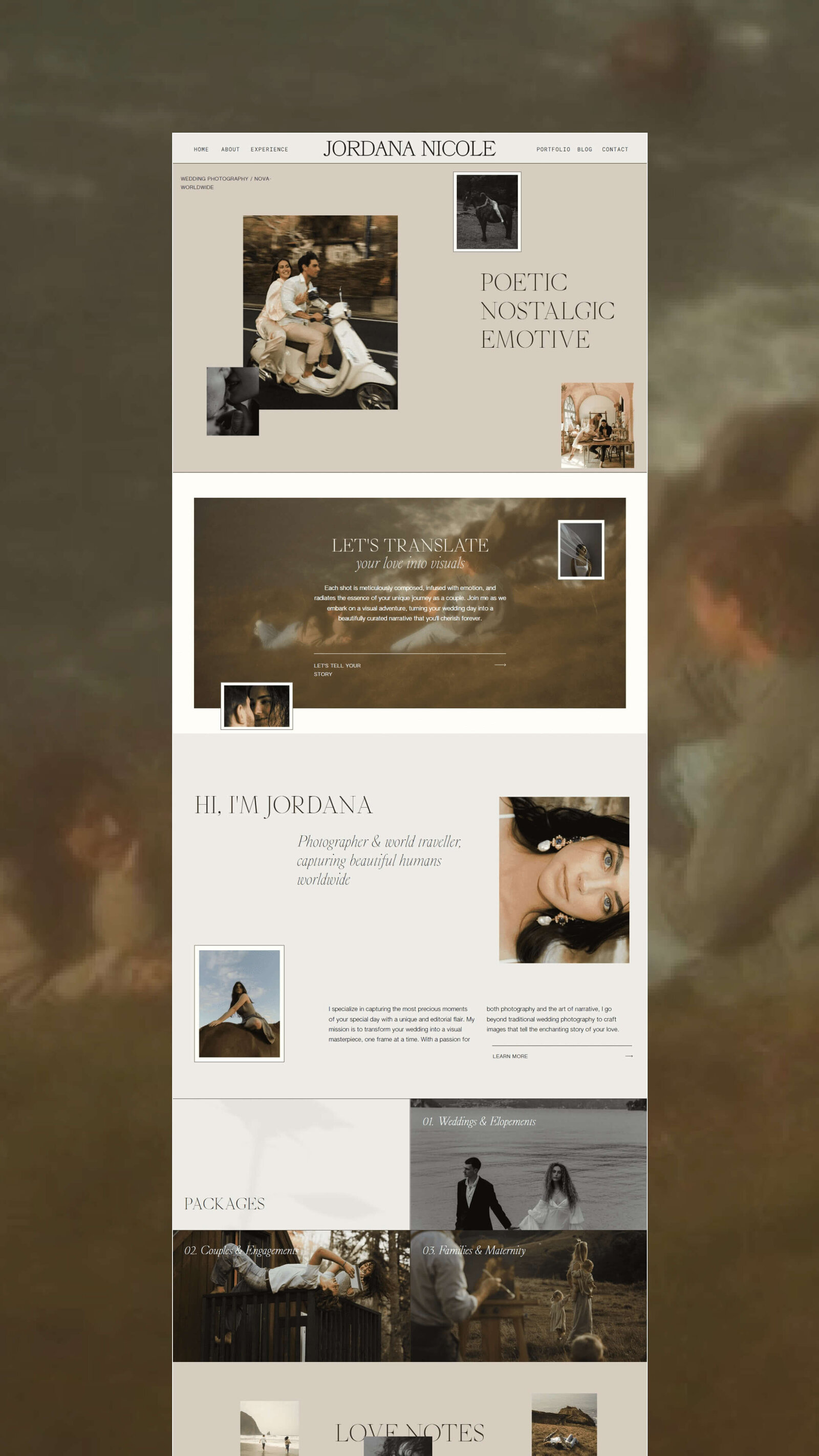 adeline-template-showcase-jordana-nicole