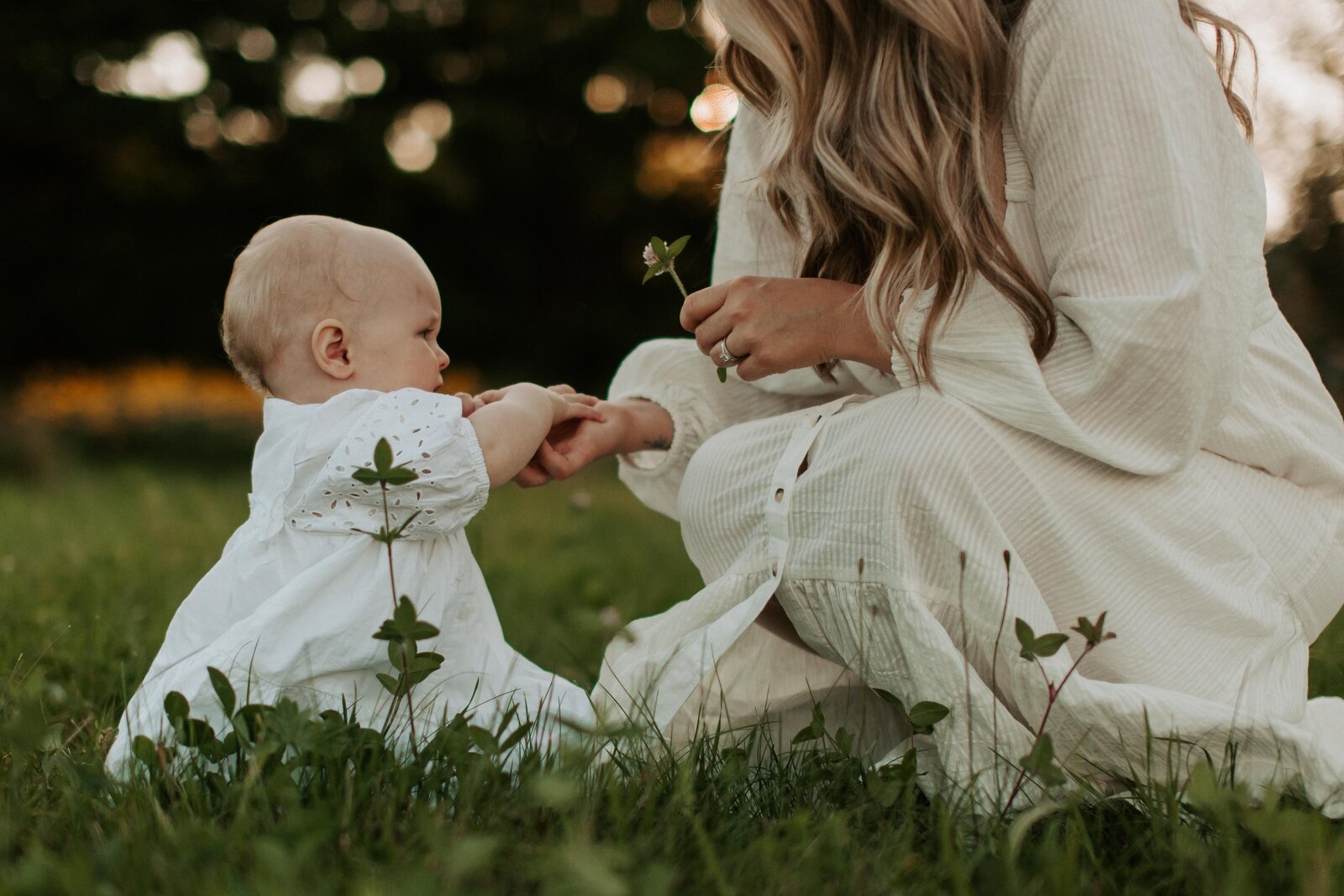 Library - 206 of 1284