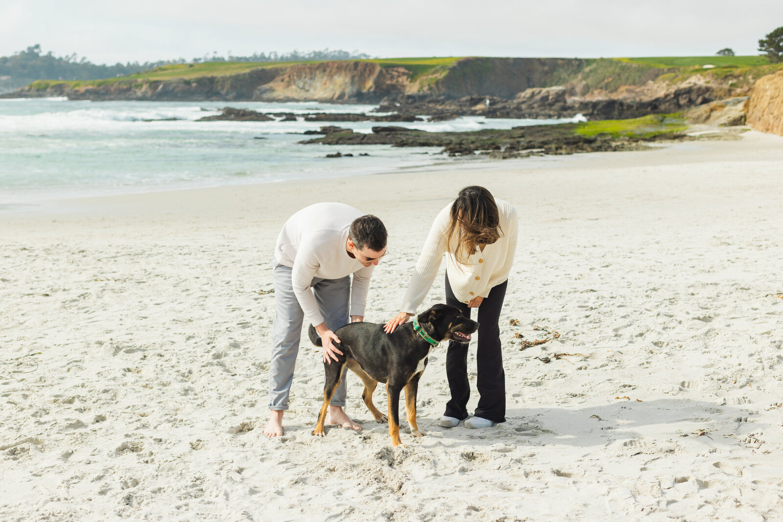 Cingari Monterey Proposal 42