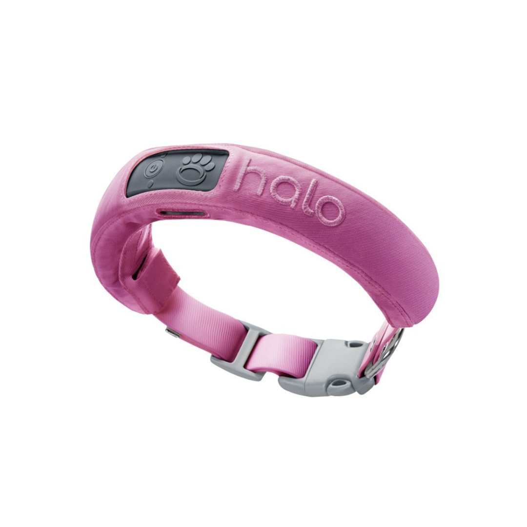 halo gps dog collar (1)