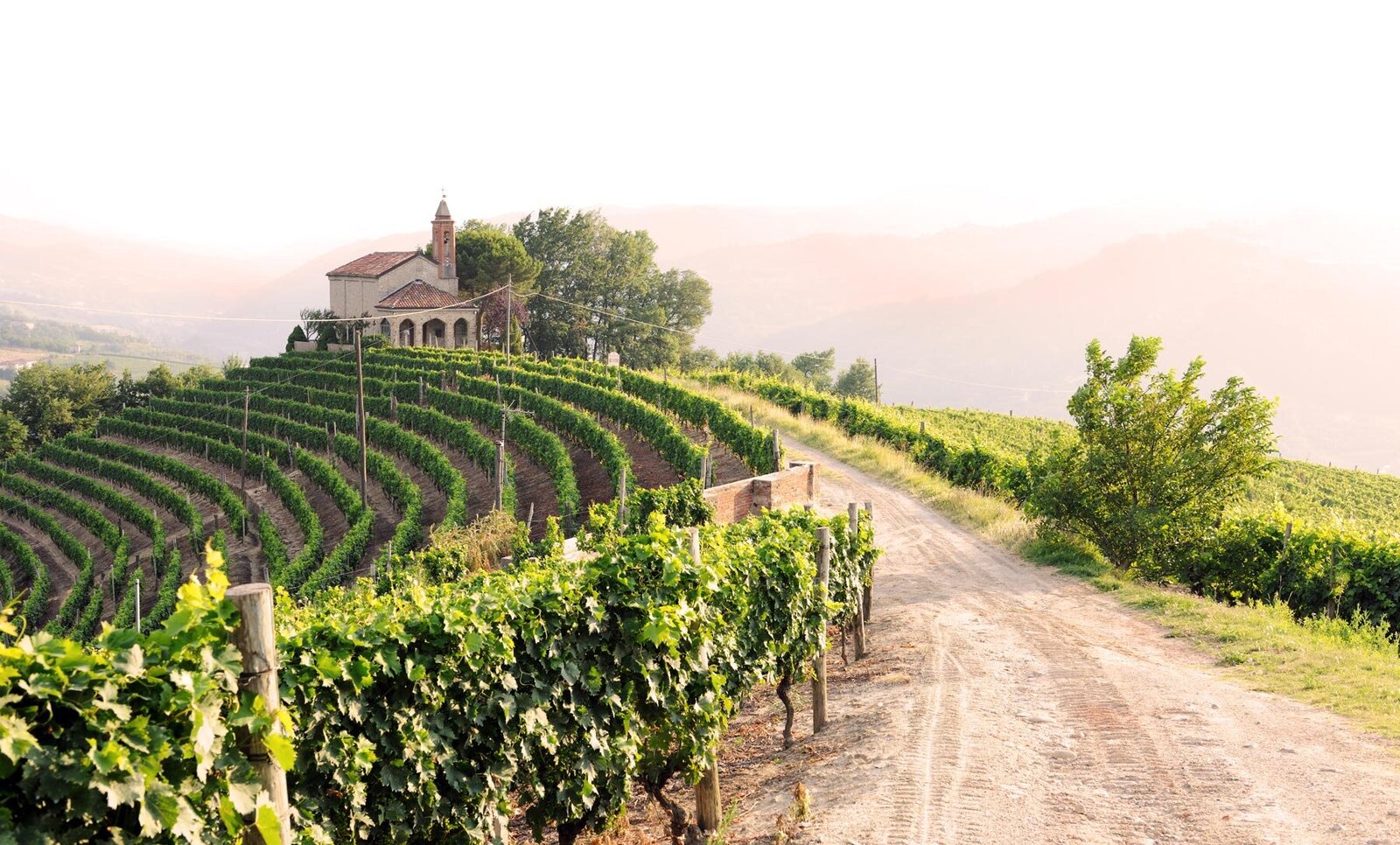 A small church sits atop a hill surrounded by lush green vineyards, reminiscent of luxury vacations. Rows of grapevines line the landscape, leading up to the structure. A dirt path runs alongside the vineyard, with a hazy mountainous backdrop under a clear sky.