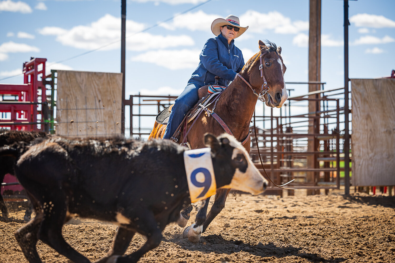 New-Mexico-Horse-Show-Photographer-005