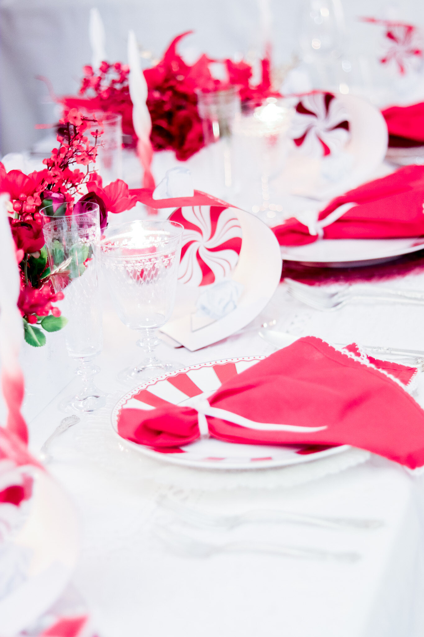 NYC NJ NEW YORK NEW JERSEY CHRISTMMAS DECORATOR  (13)