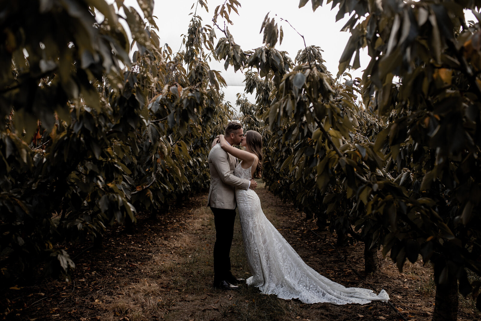 Emma-Brad-Rexvil-Photography-Adelaide-Wedding-Photographer (363 of 592)
