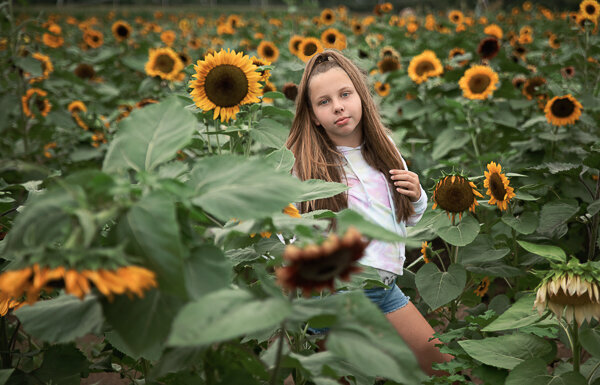 East Brunswick NJ Family Photographer Johnsons Locust Hall Farm Sunflowers Tween Girl