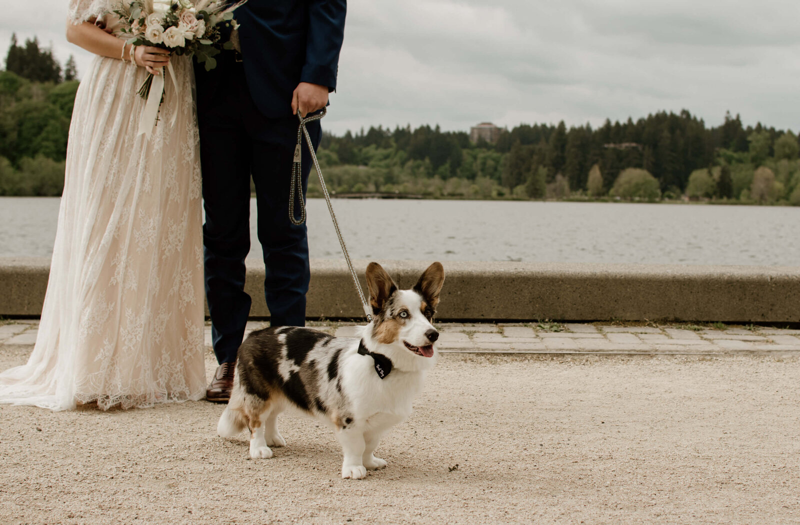 Best Dog at wedding.
