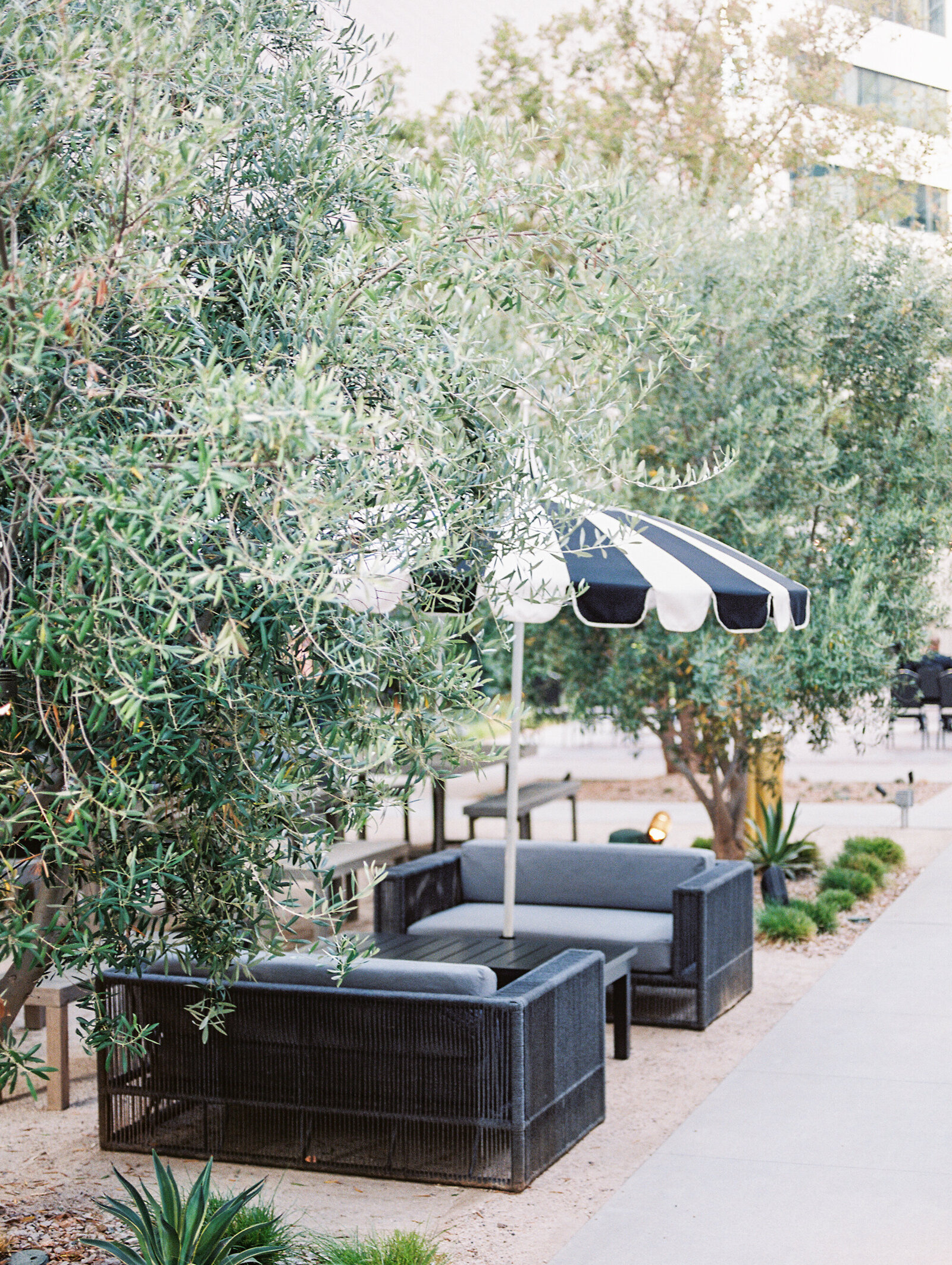 1-San-Diego-Wedding-Photographer-Mandy-Ford-9