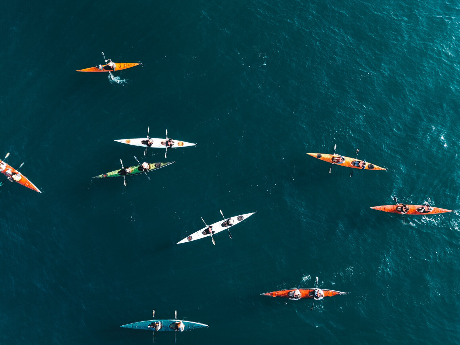 DJI_0516-2