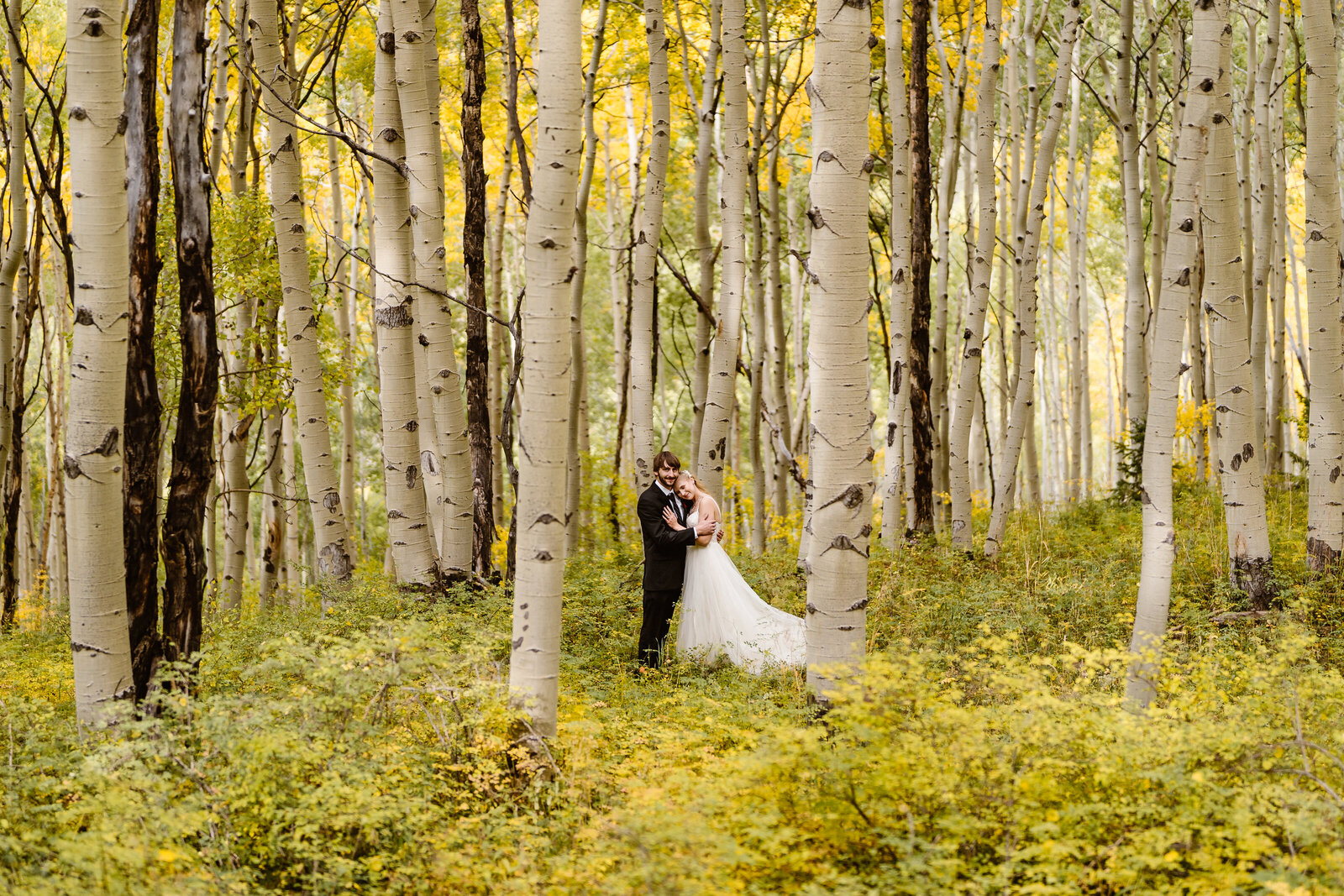 Couple stands in an aspen grove during their elopement in Telluride, Colorado