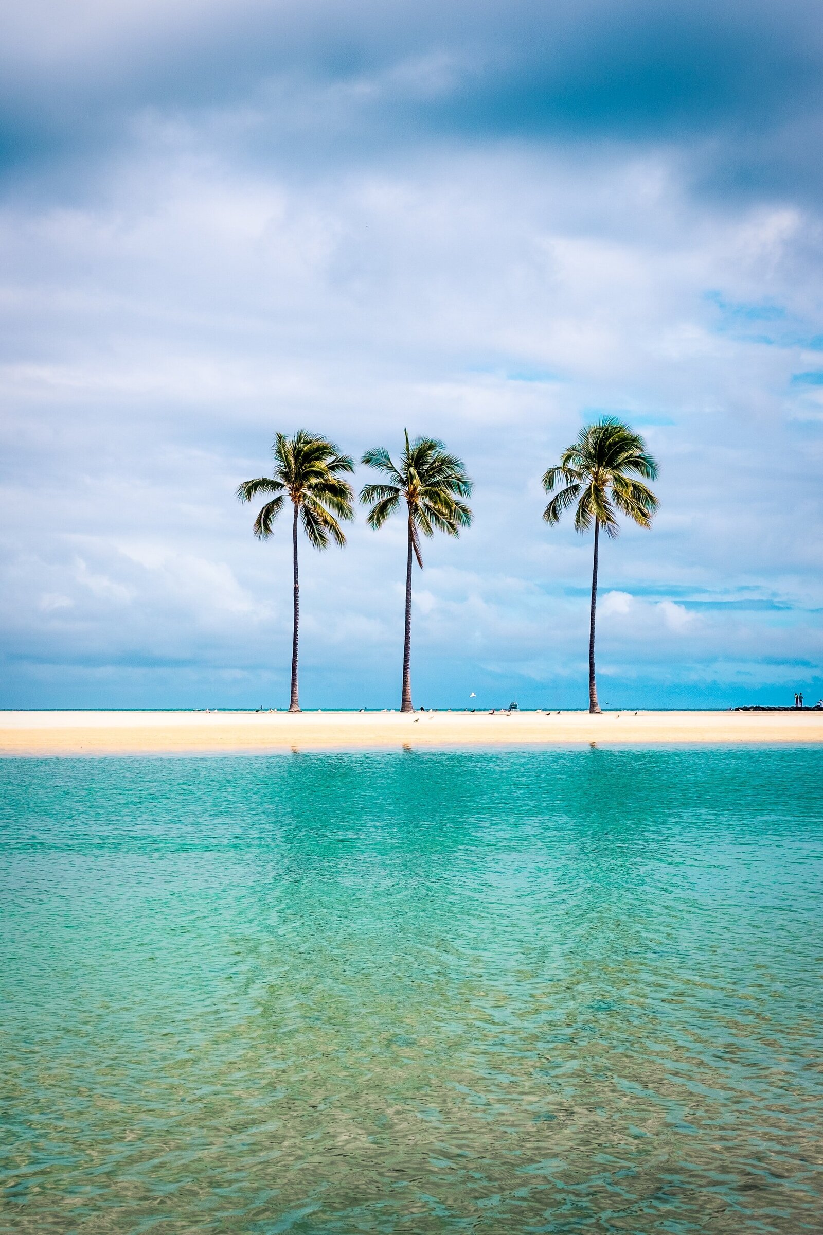 amanda-phung-jCaYQ9NP6z8-unsplash (1)