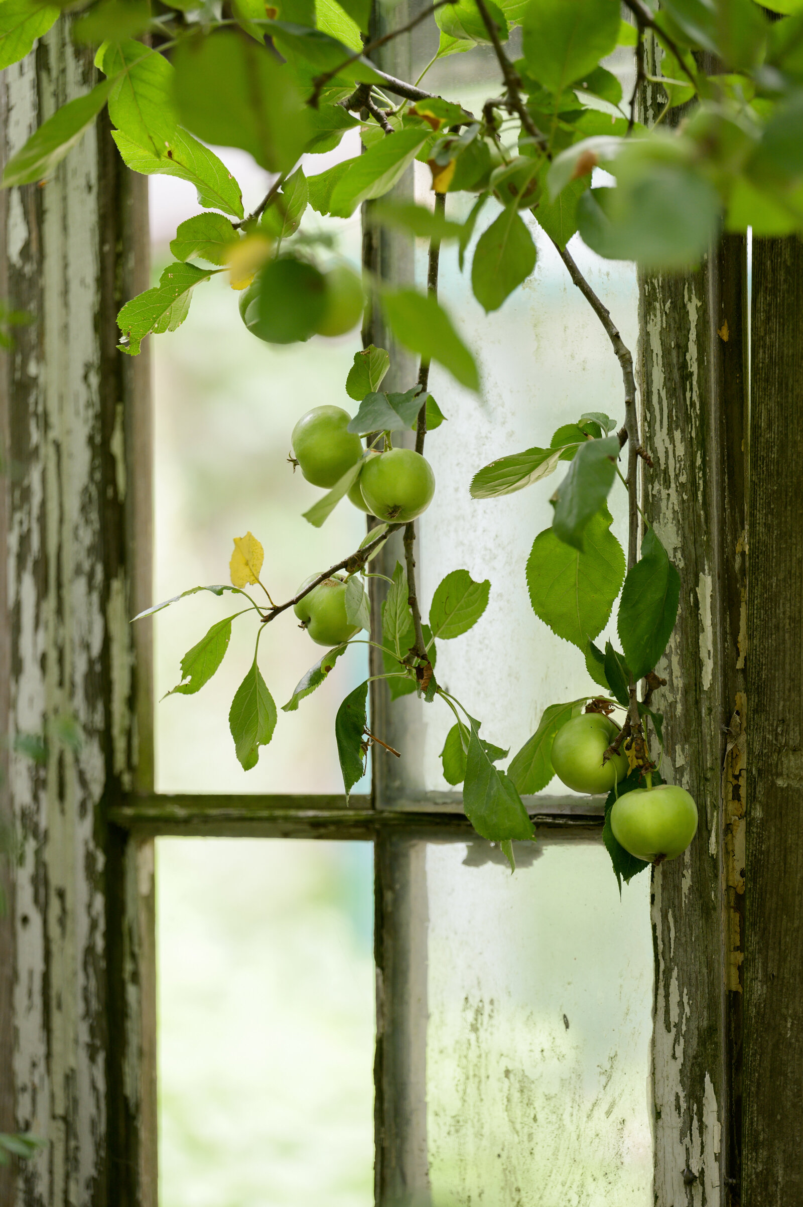 Magazine fotograaf | Trui Heinhuis Fotografie