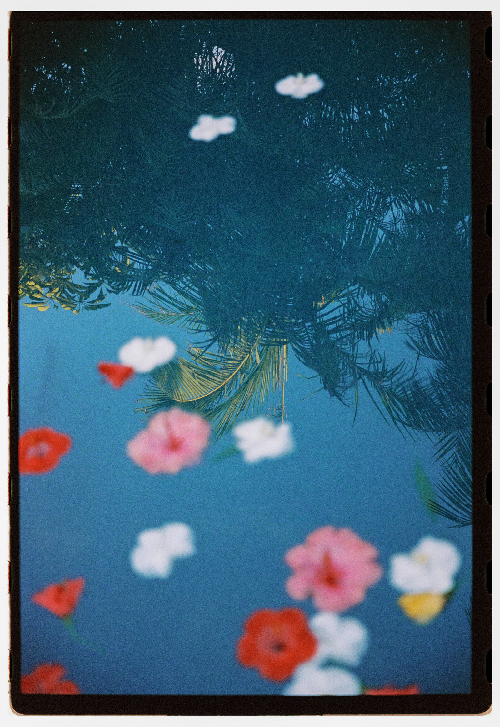 Zara_Staples_Auckland-Wedding-Photographer-86