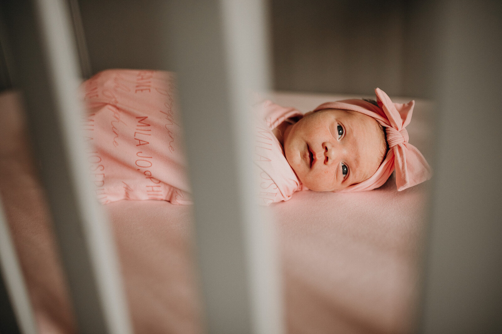brighton-michigan-senior-photographer-anadalai-photography