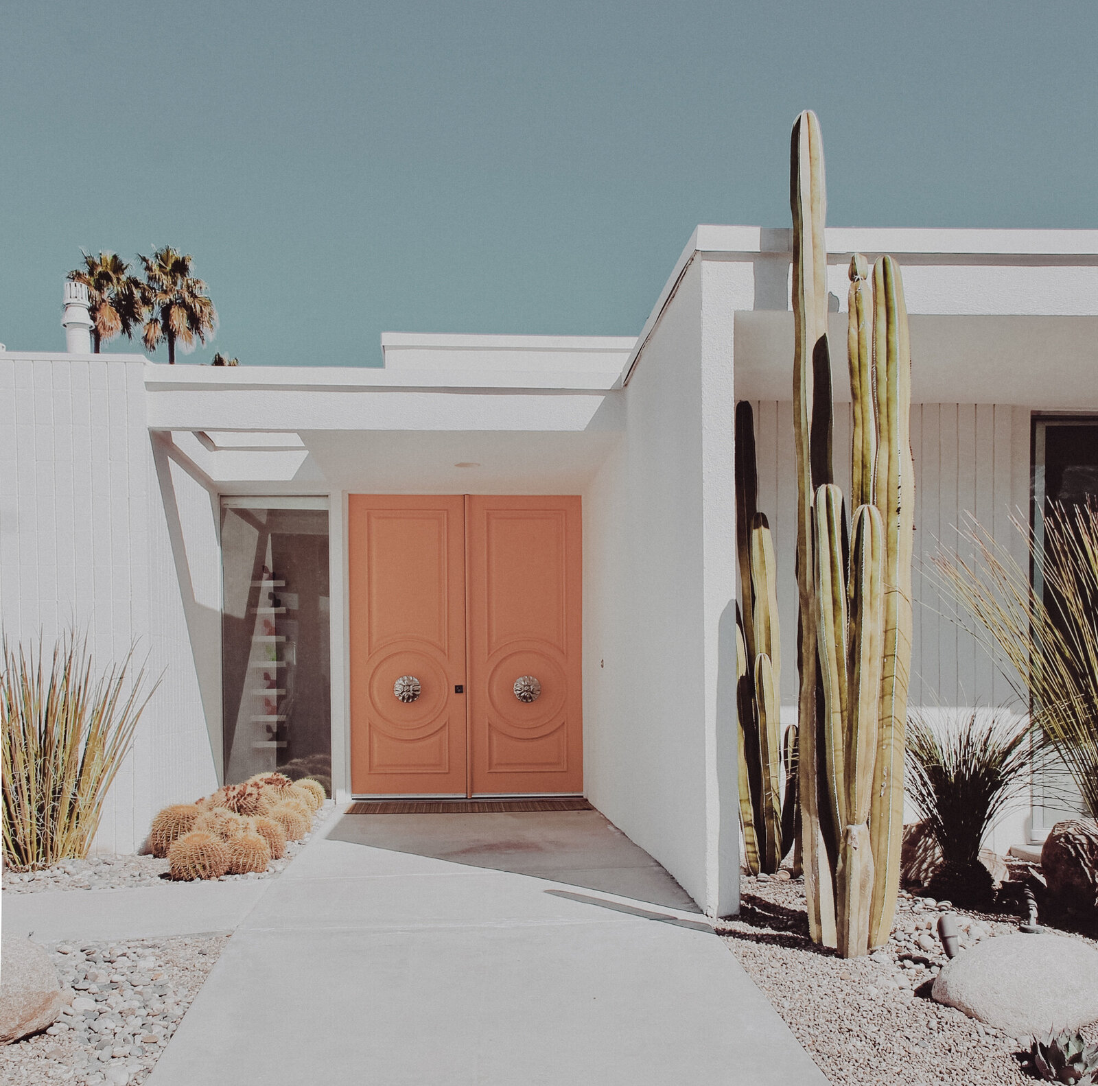 Dear Palm Springs-13