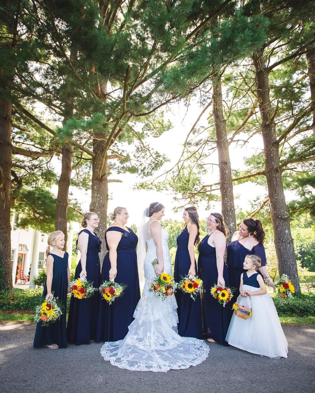 FB_IMG_1660584271068