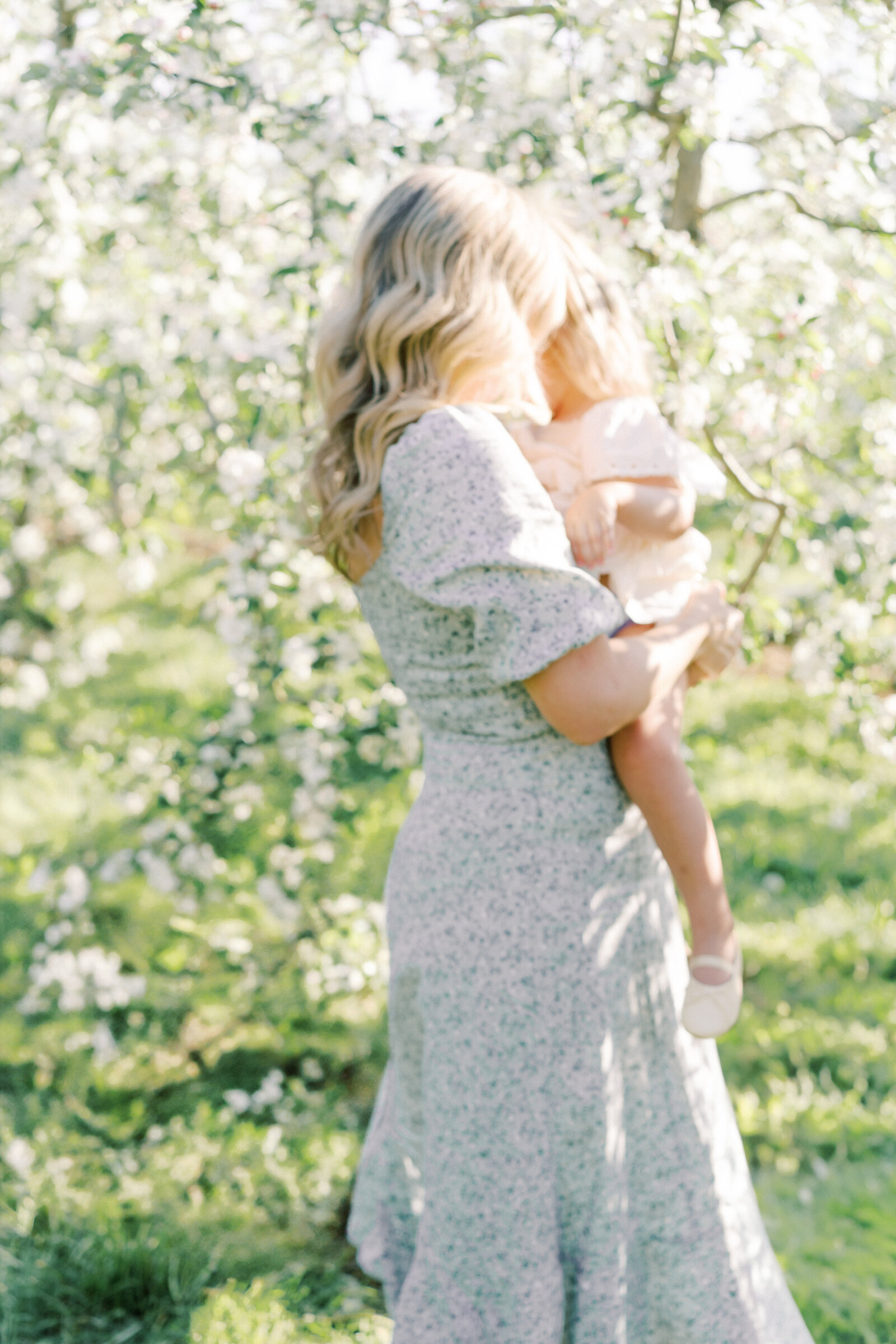 Terri-Lynn Warren Photography_Halifax Photography_Orchard Minis-07956