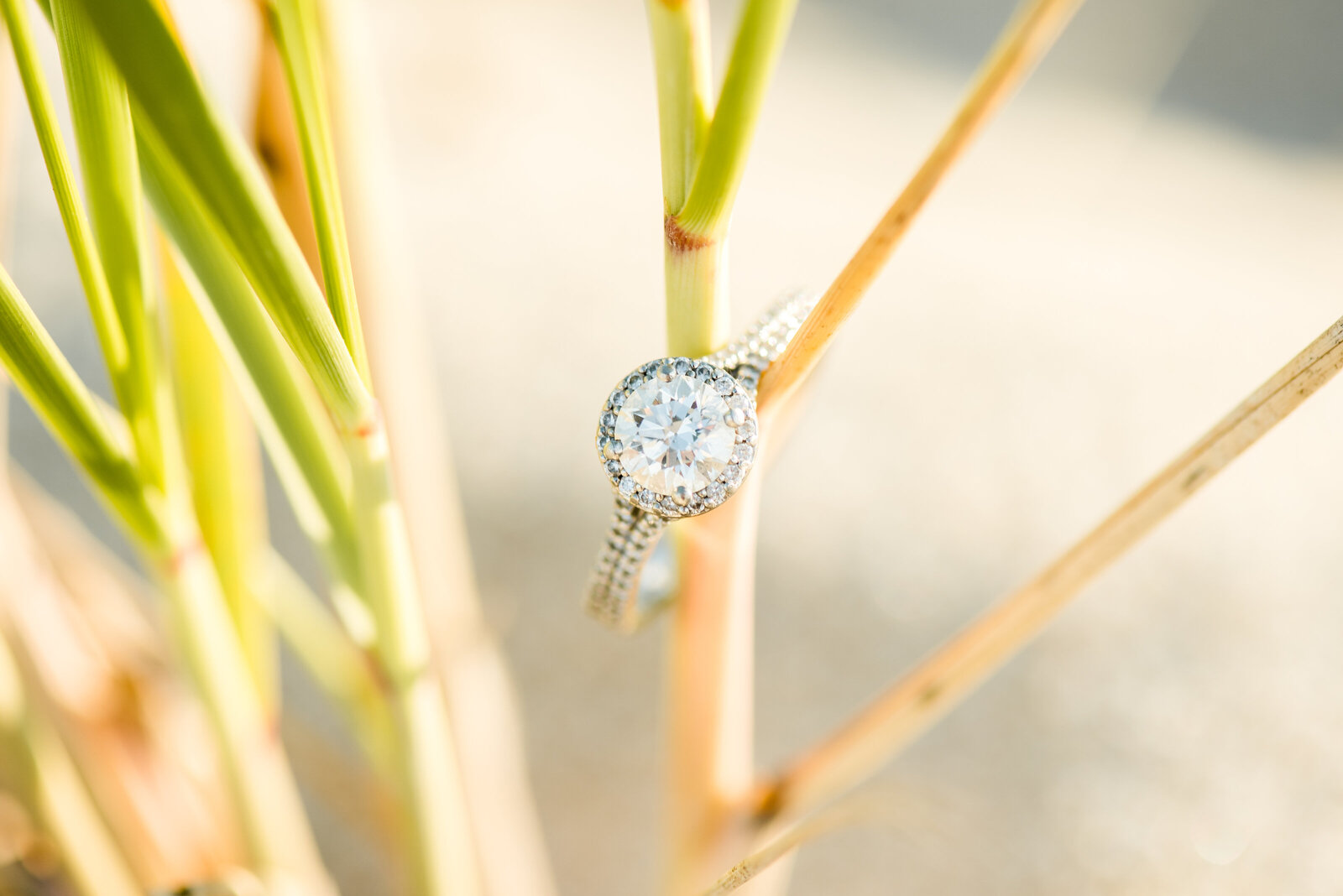 Jess&ChrisEngaged_BrightLightsImagery_SandwichHeritageMuseum_Beach-1.jpg163