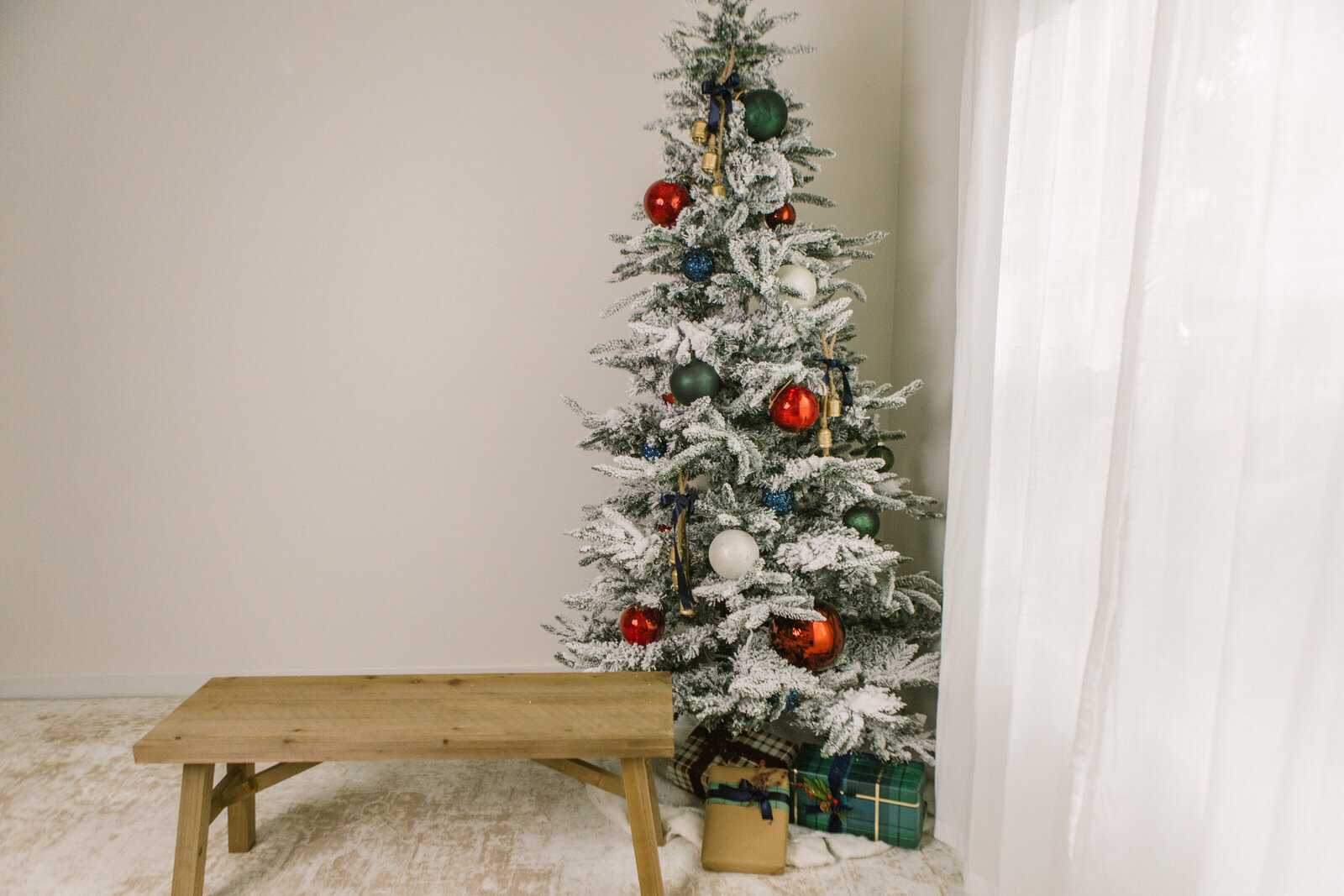 boise-christmas-minis-2