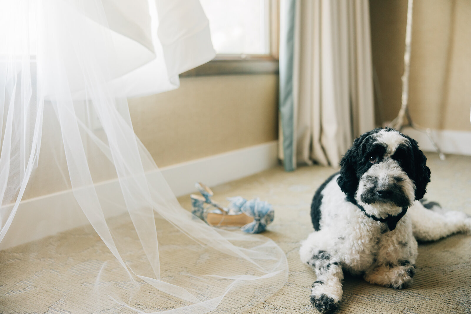 omni-grove-park-inn-spring-wedding4