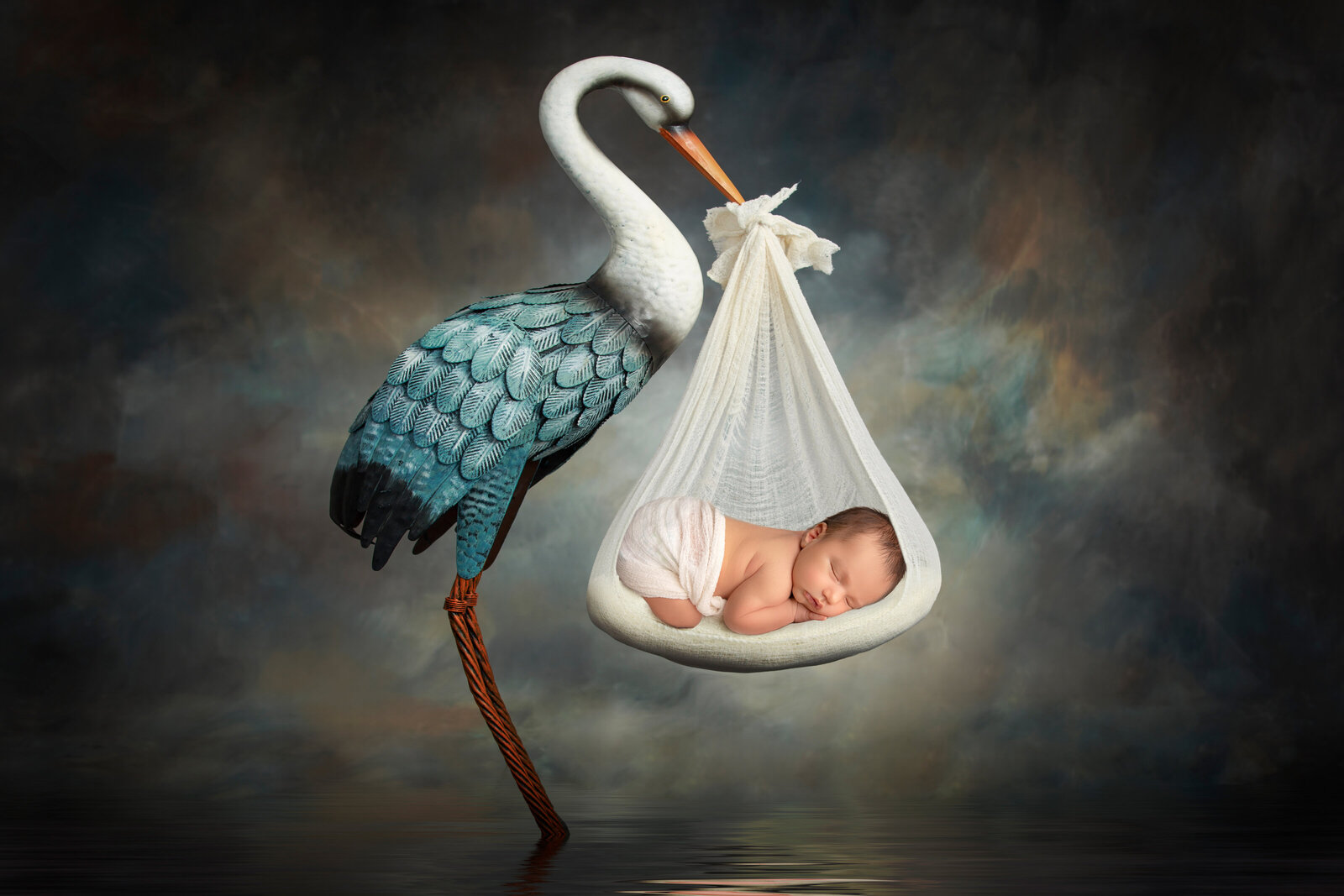 newborn photography Stork Phoenix Arizona