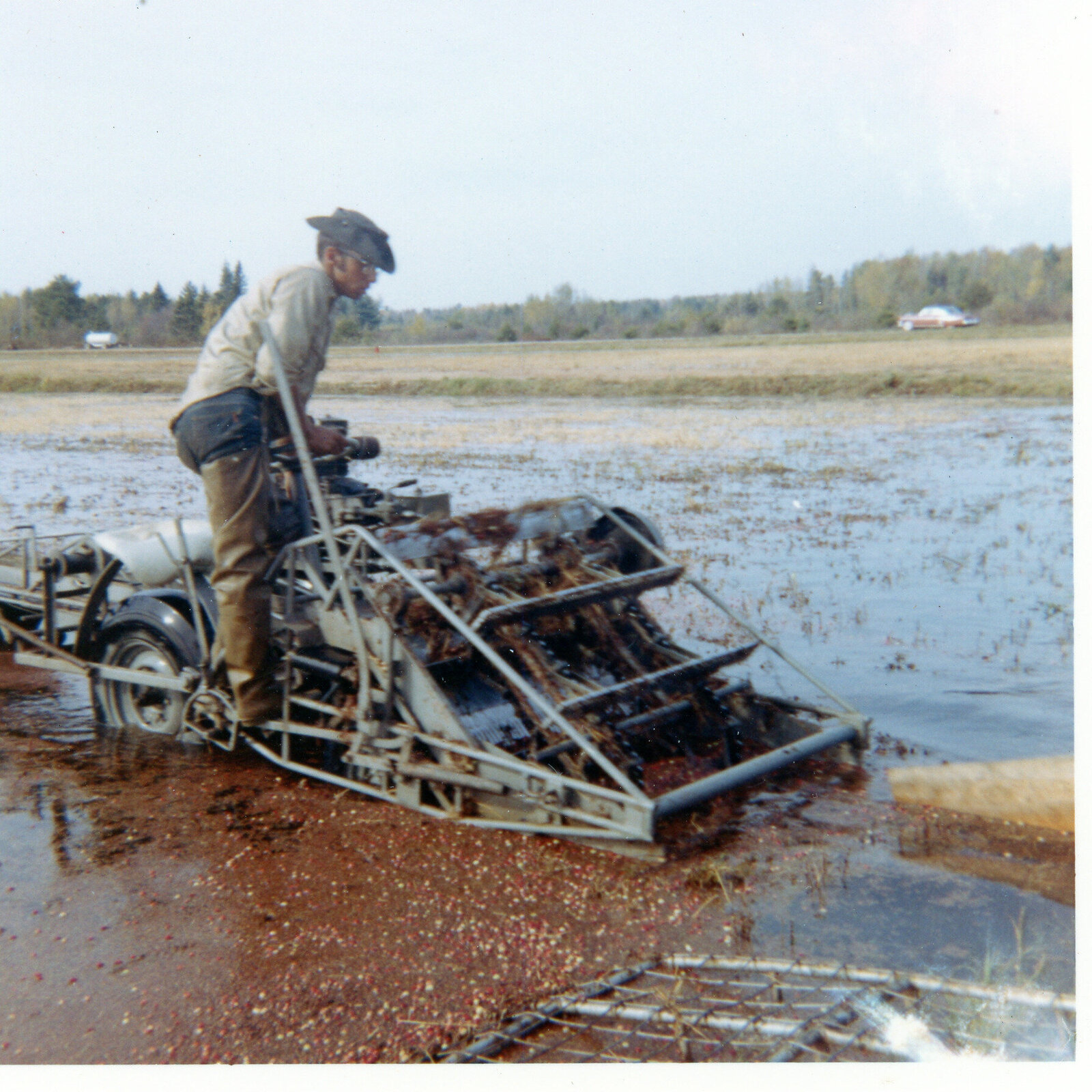 Gen 2- 1960s Koller Harvest (7)