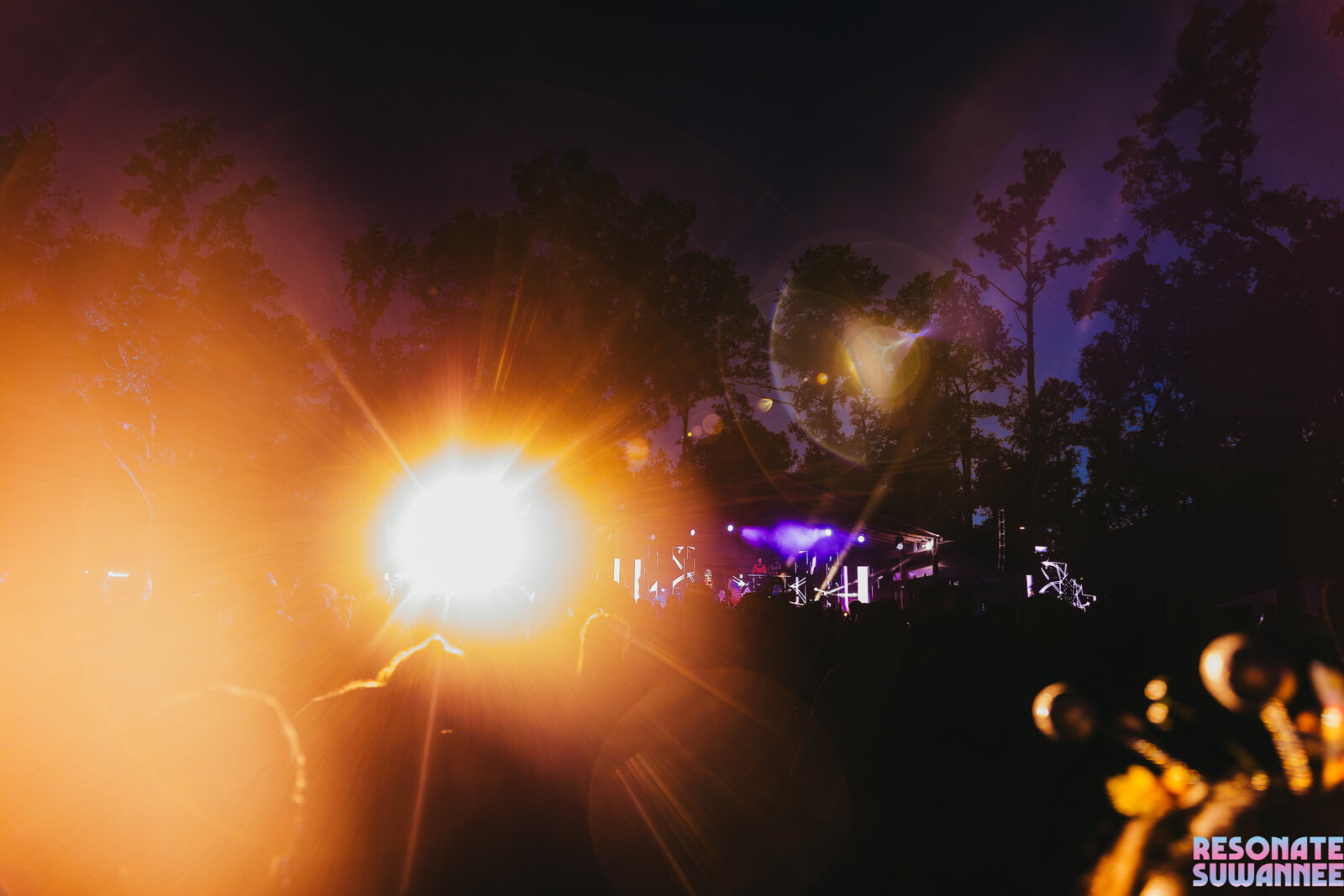 294A2355-Enhanced-NR