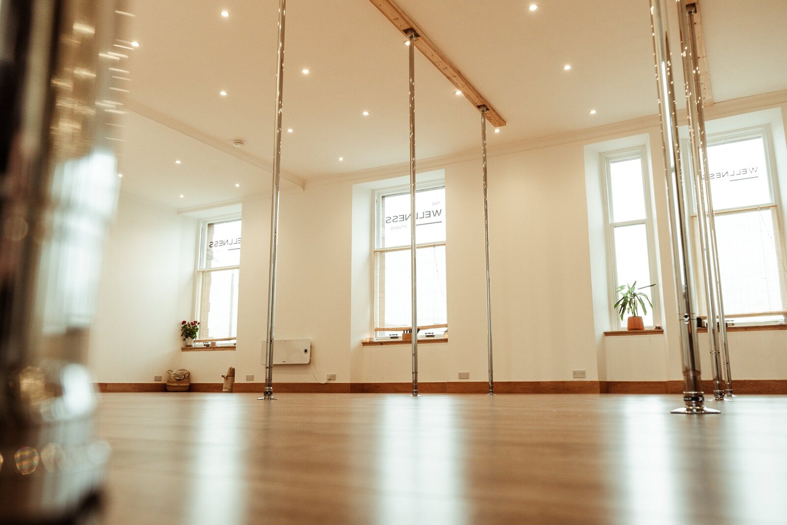 Pole Dancing studio with bright light, open space with plants. 