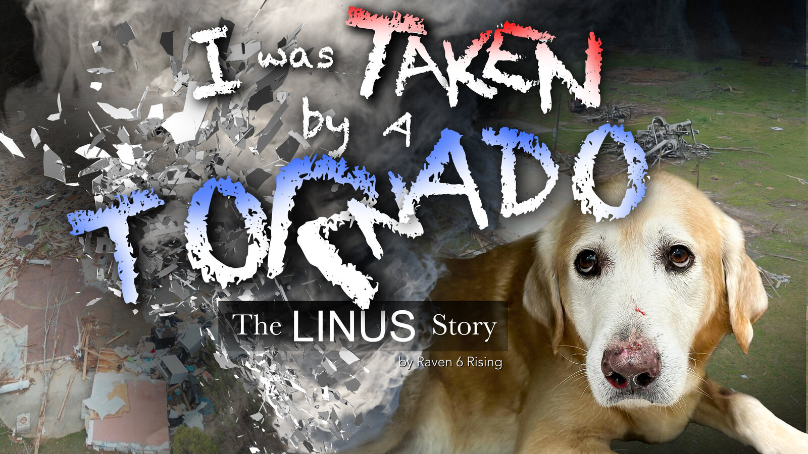 Linus Tornado COVER v5