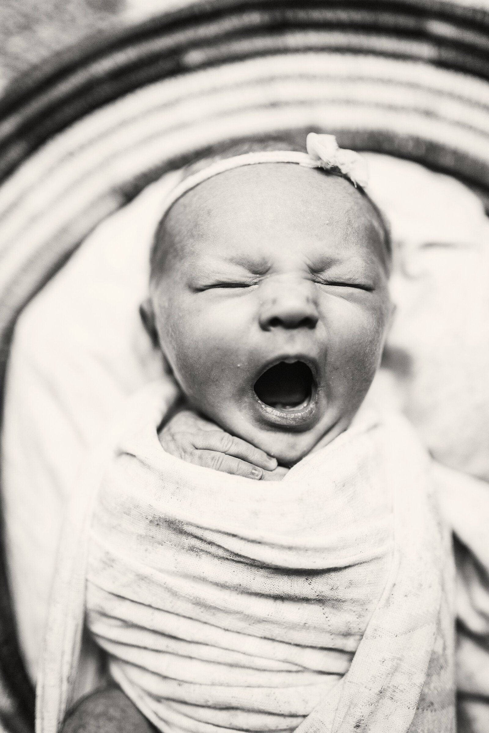 Collingwood Home Newborn Photographer - Katie Lintern (20)