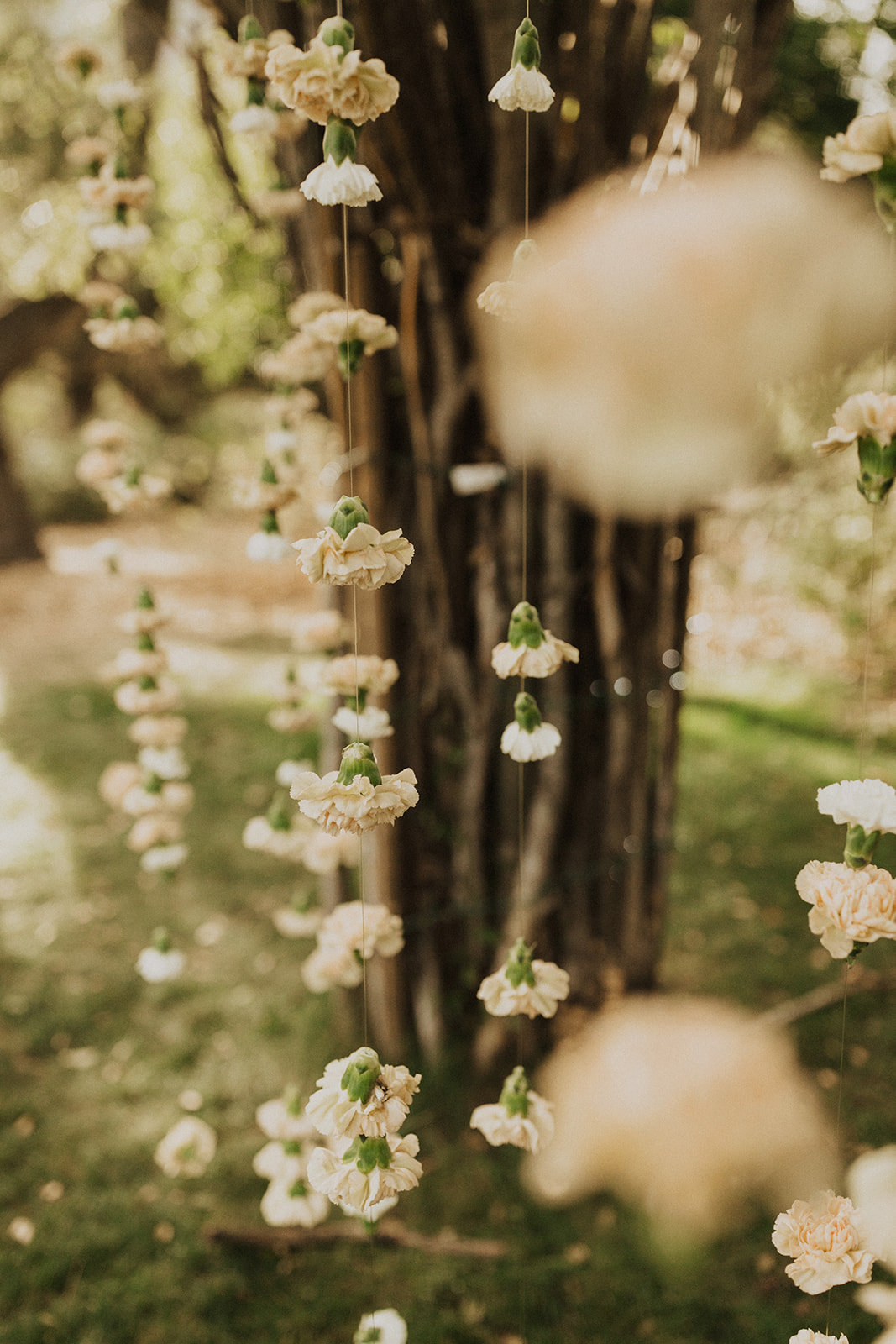 Carolyn_Travis_Wedding_IndiaEarl_BigSur_470 copy