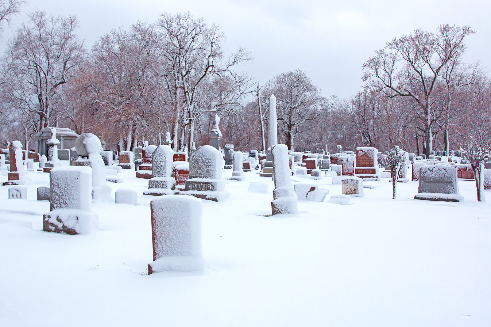 dead-winter
