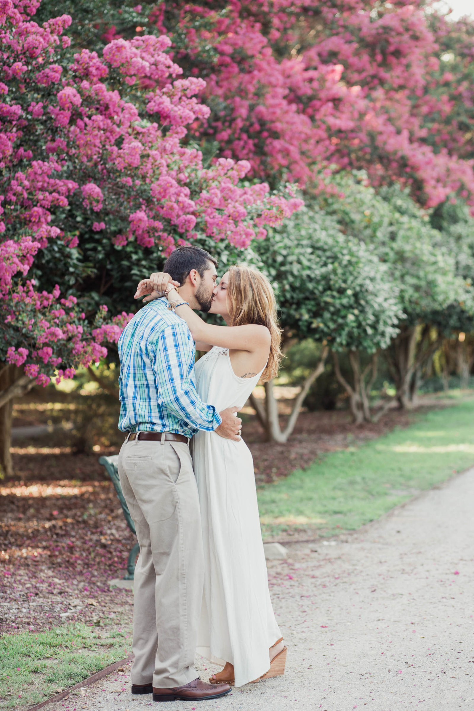 Engaged couple cuddle on path near blooming pink trees, Hampton Park, Charleston, South Carolina