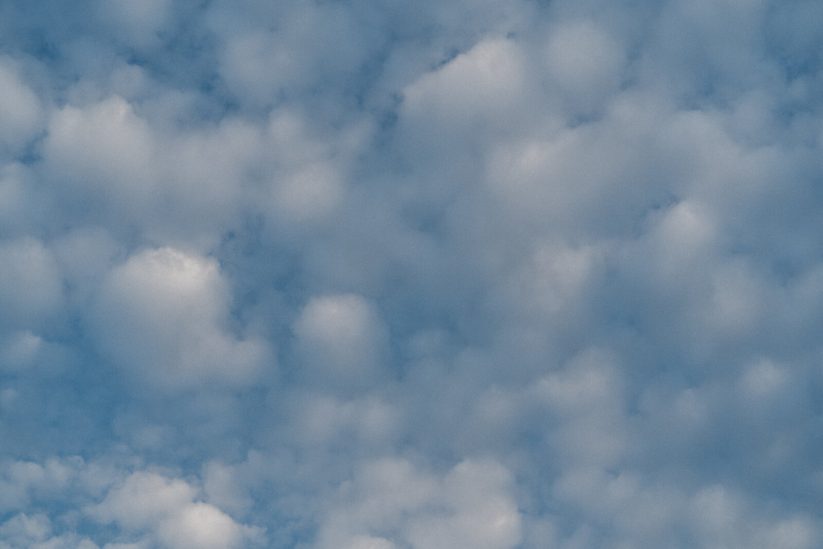 Daphnebaronfotografie-110