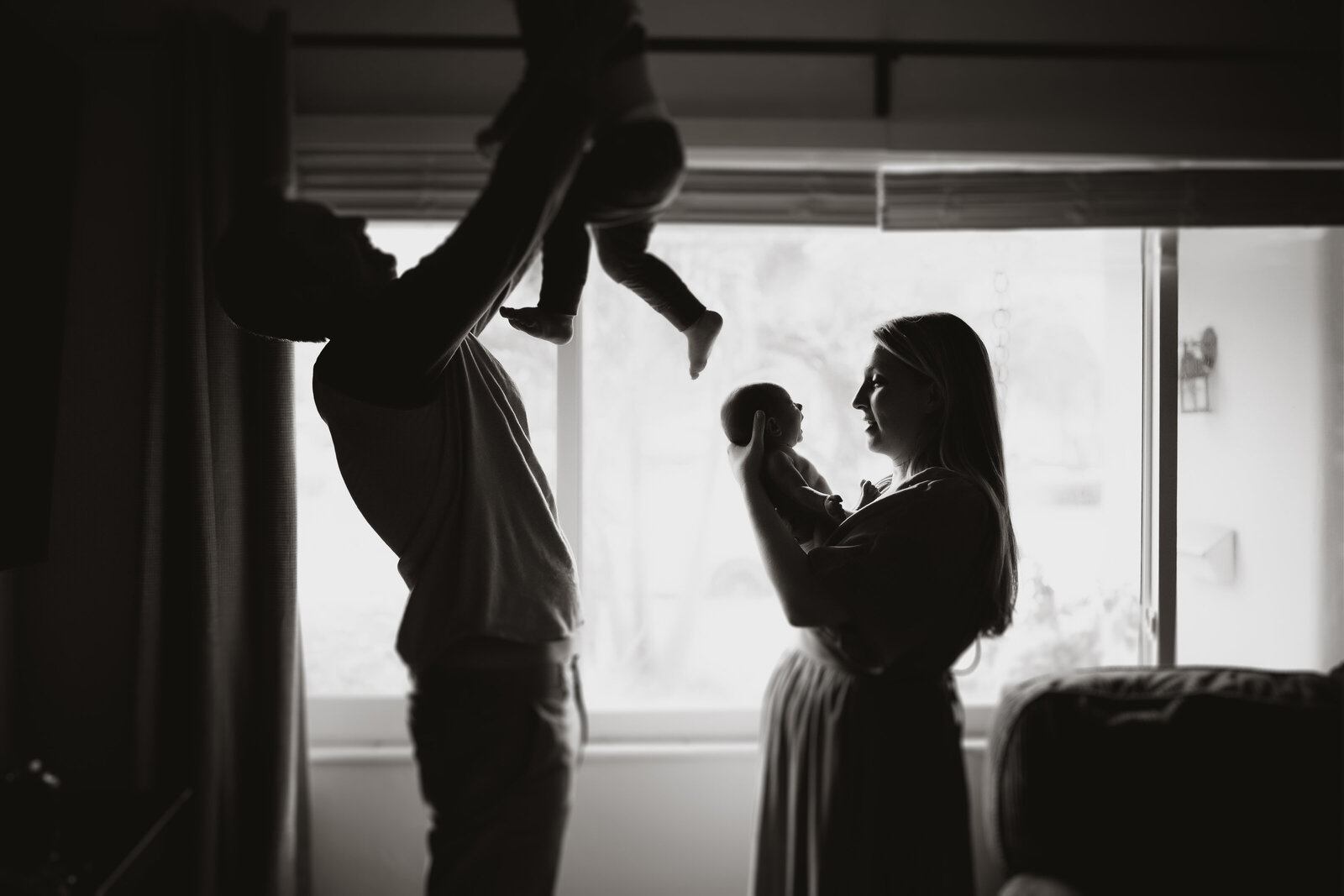 newborn portraits at home, tampa bay fl