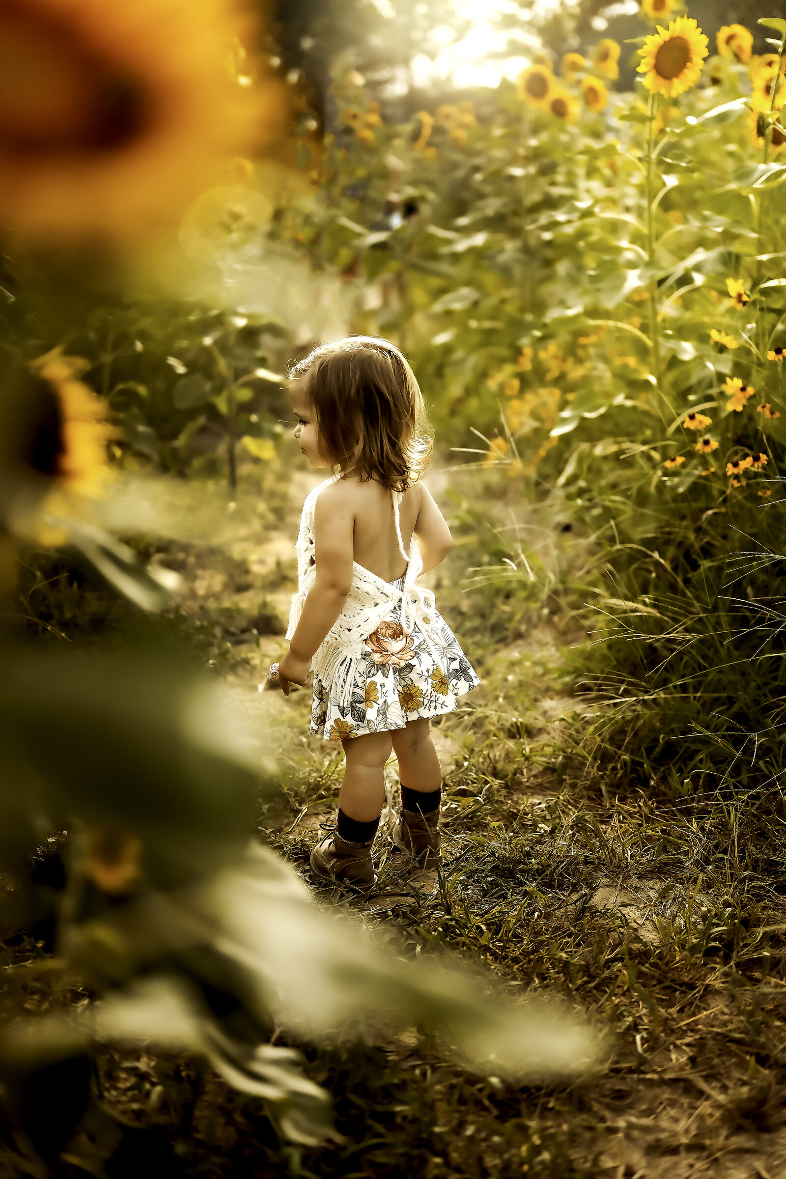 (C)THP Harris Sunflower-11