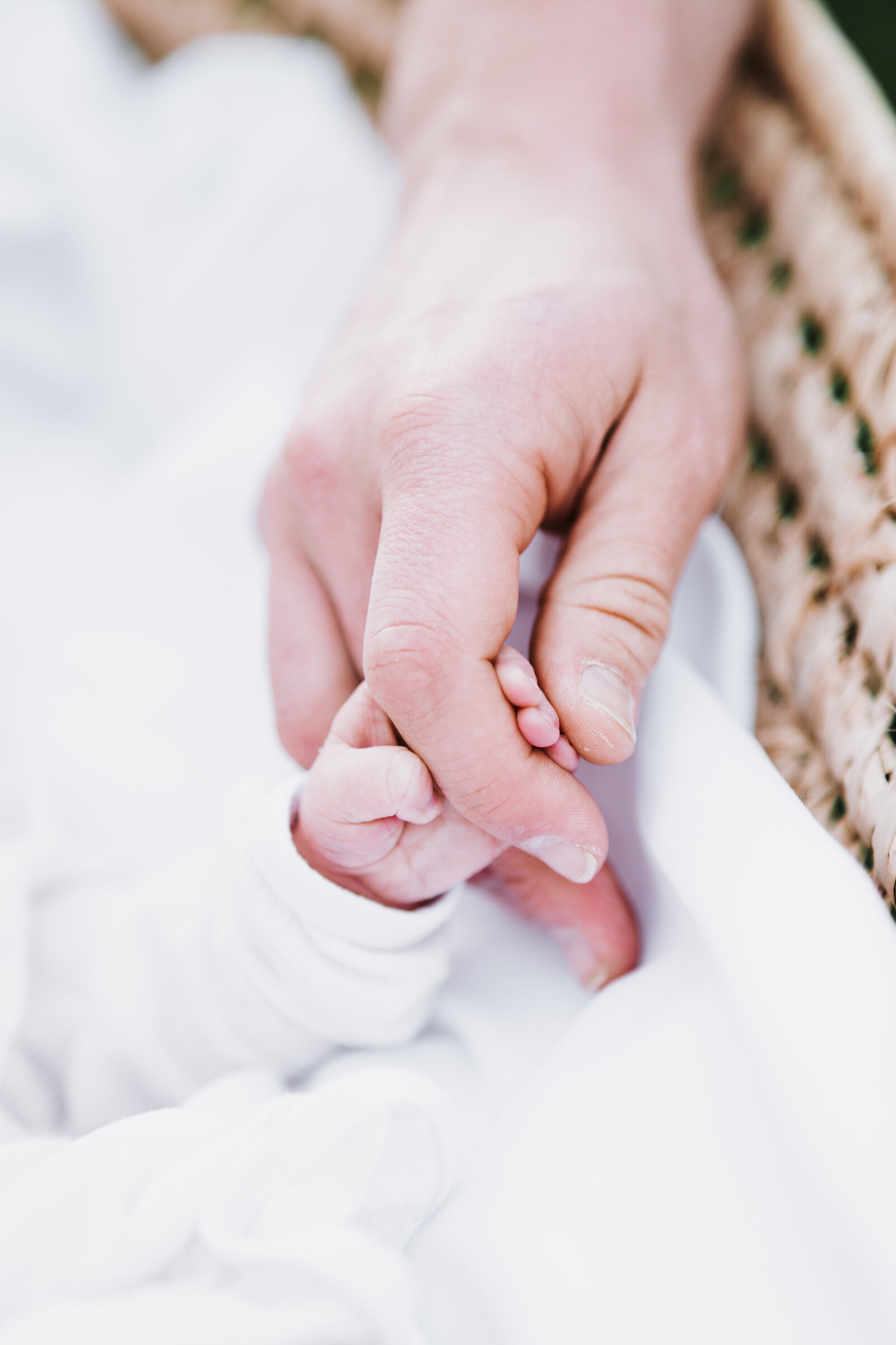 newborn baby holding fathers hand