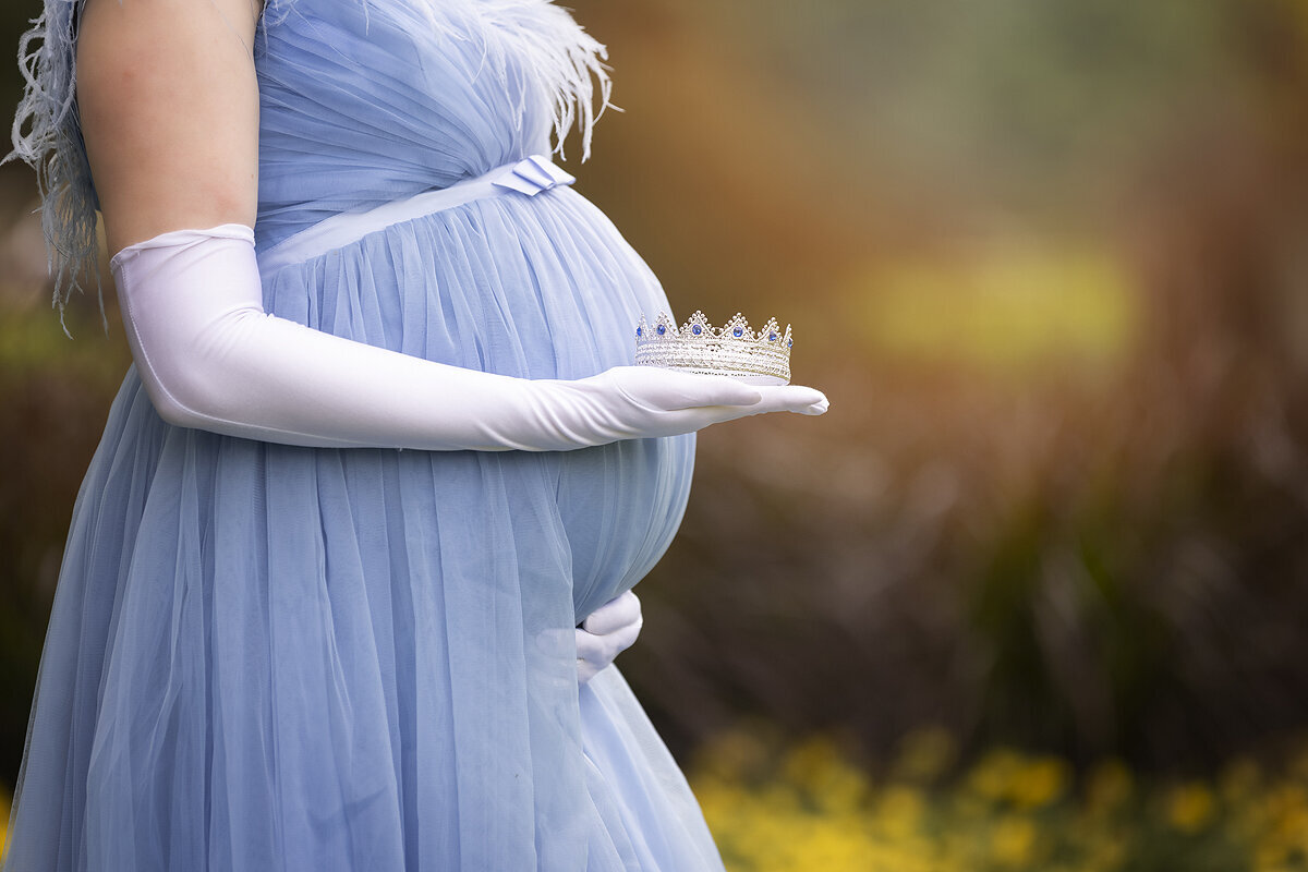 Cinderella themed maternity photoshoot at the Dallas Arboretum.