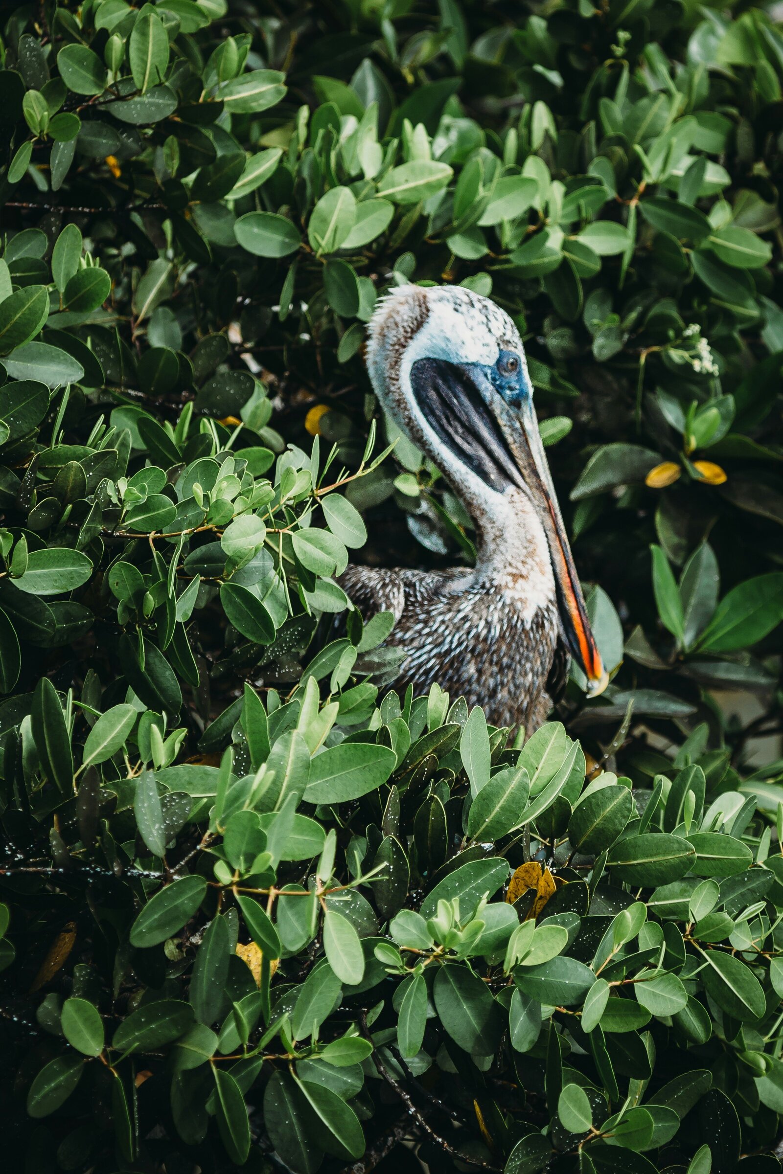 jose-aragones-p6oJeHzKh1Y-unsplash