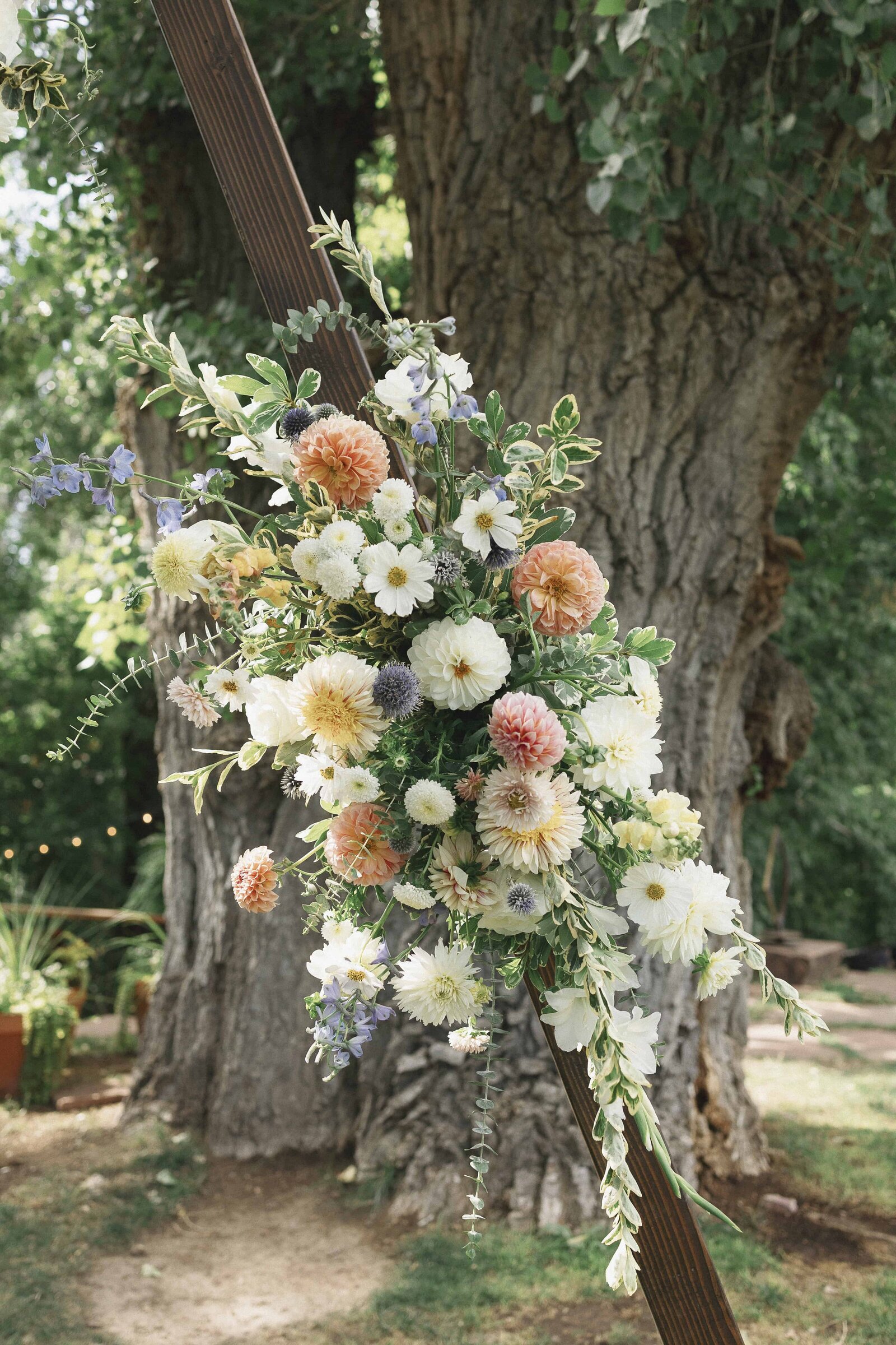 colorado film wedding photographer58