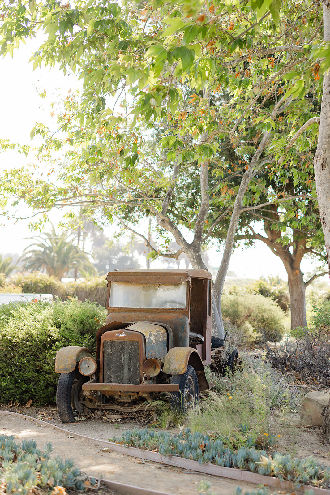 Brookeboroughphotography_californiaorganiccenter-18968