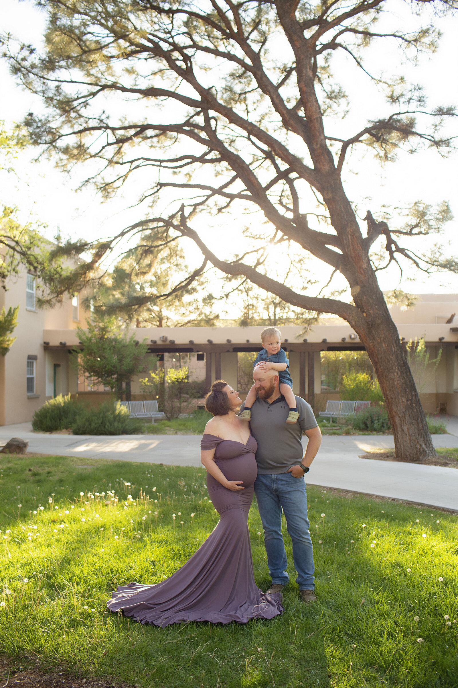 ABQ-maternity-spring-session-purple-dress