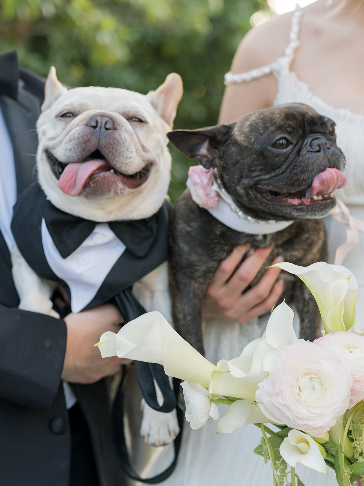brooke-nash-photography-rosecliff-mansion-wedding-5