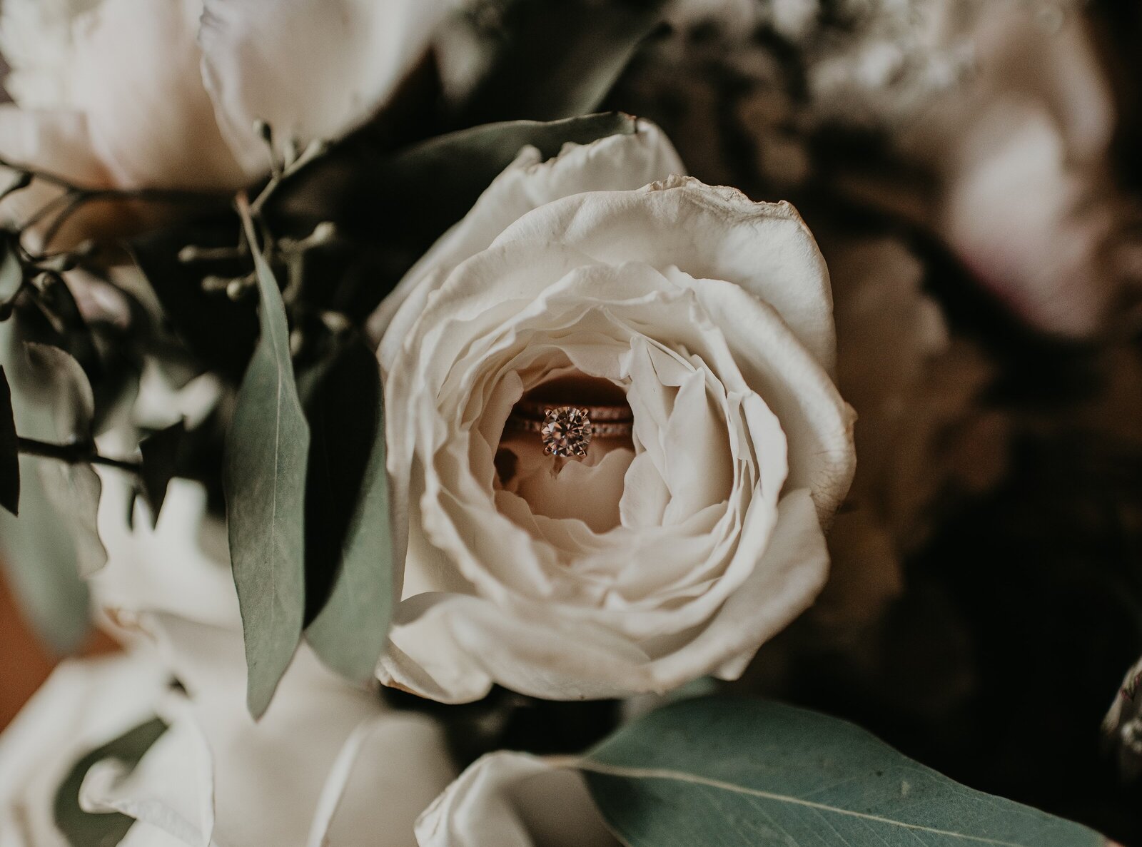 devon-divine-yilU0LaKkmQ-unsplash