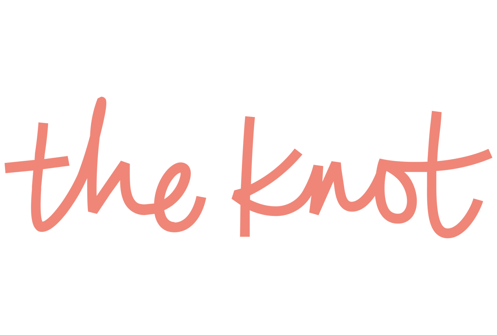 The Knot