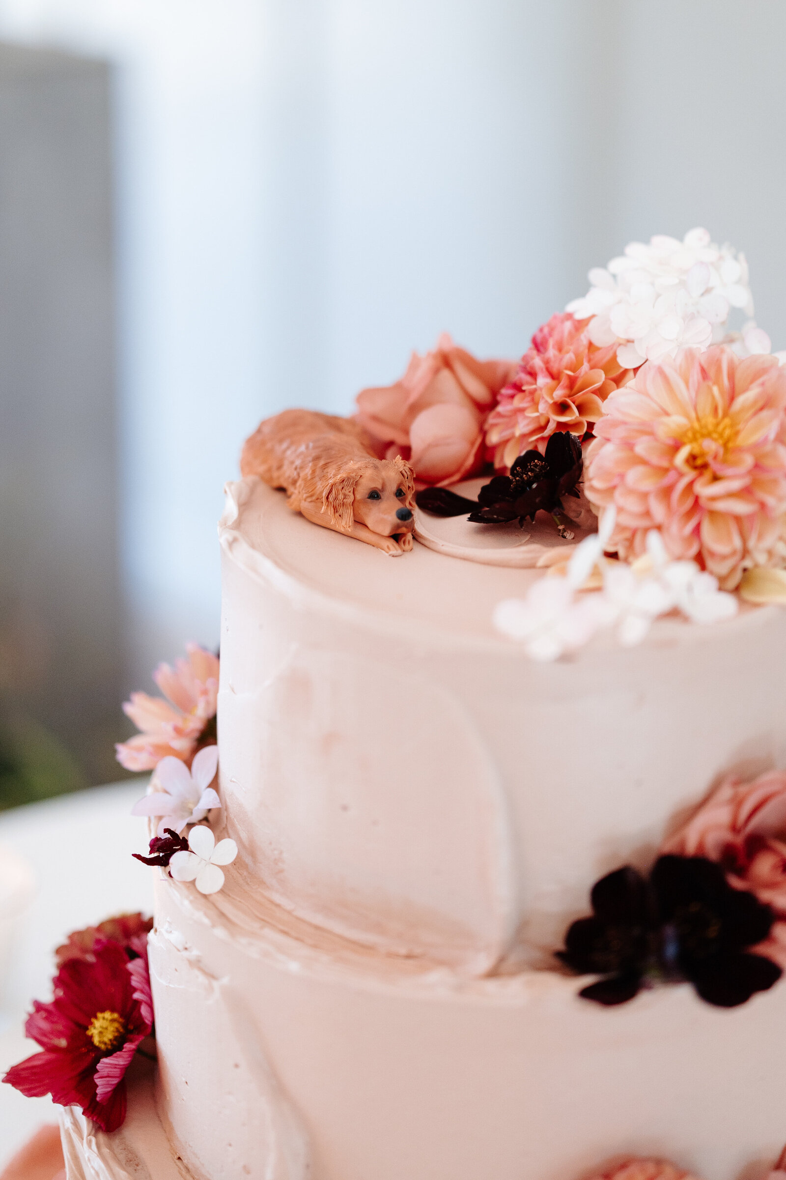 Chloe-Ely-Photography-Kin-House-HJ-291
