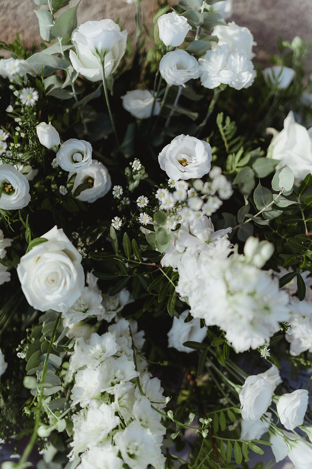 1048-hailey-edward_websize