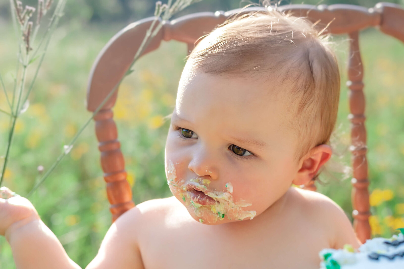 Mississippi-Cake-Smash-Photographer-11