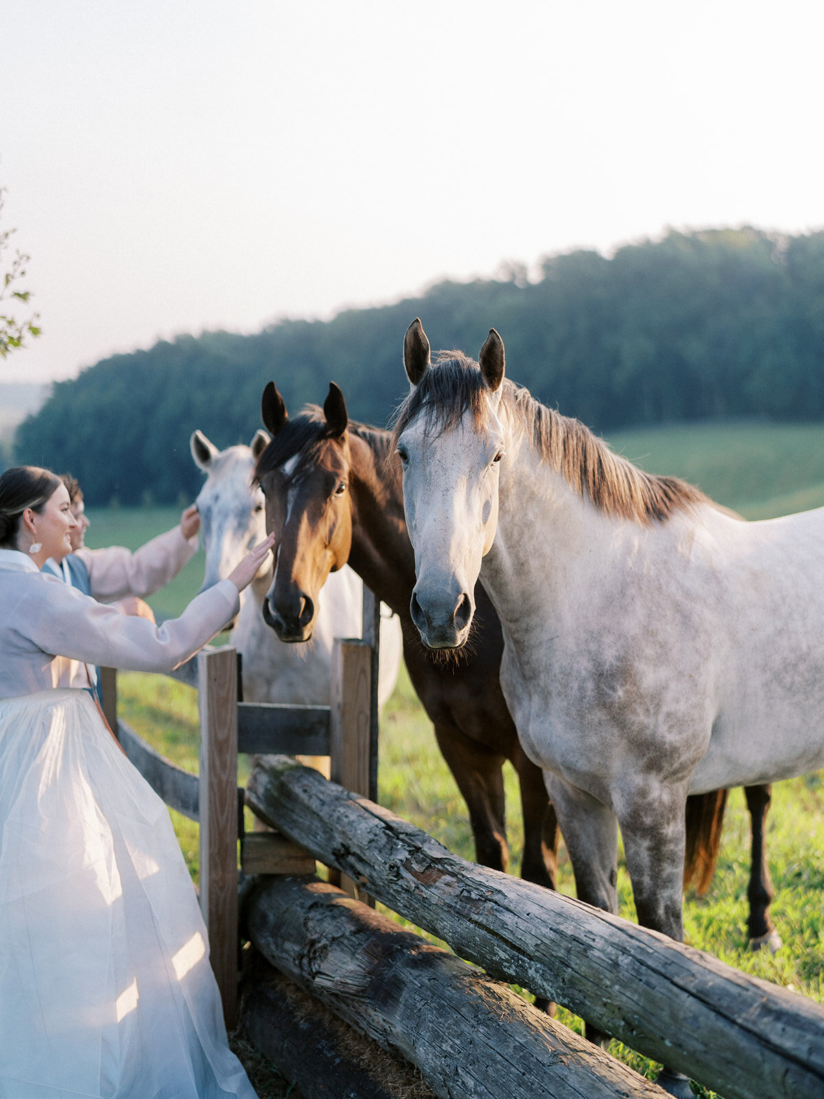 Bride and groom petting horses at Harford Hills.
